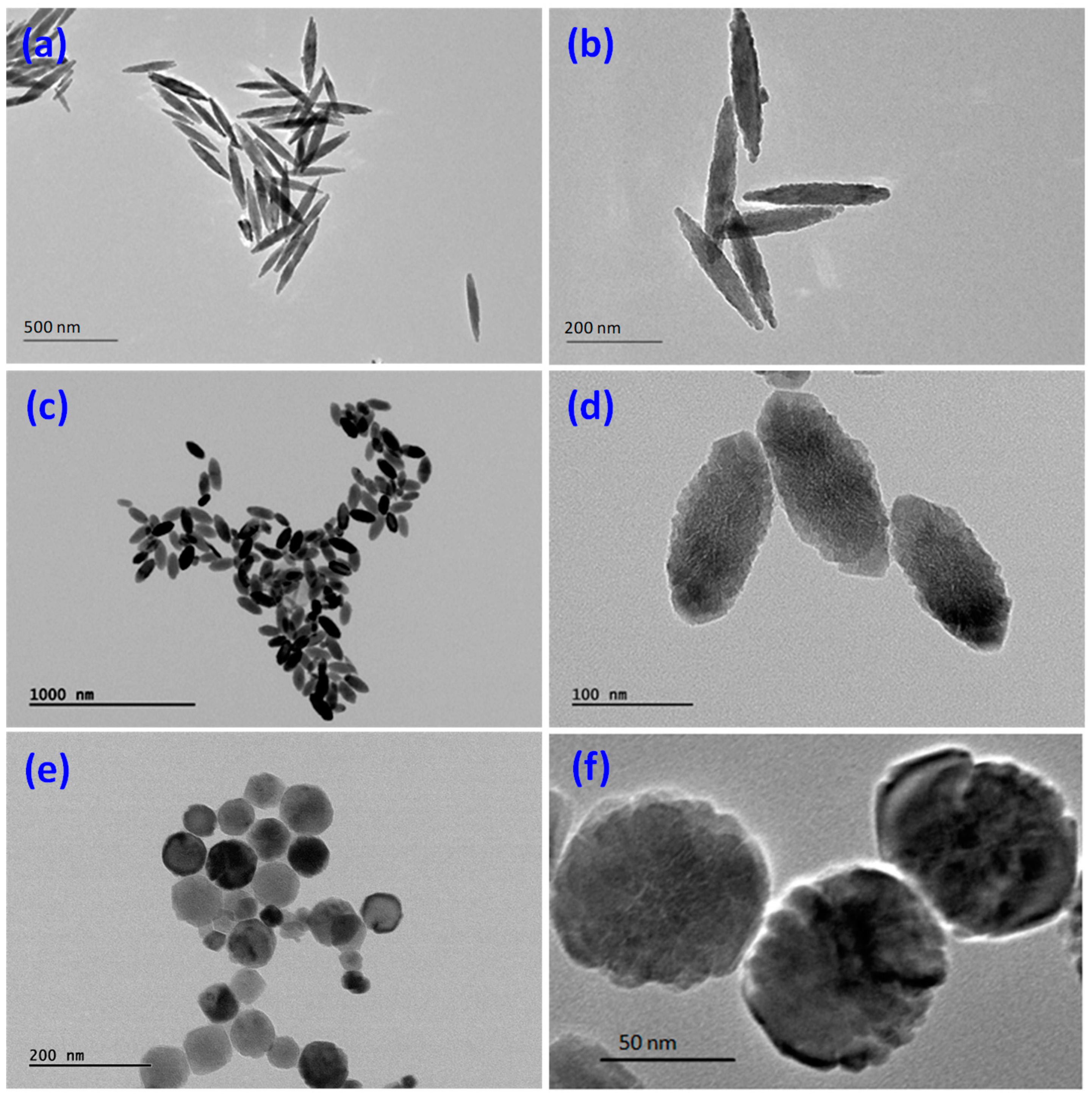Nanomaterials 09 00154 g001