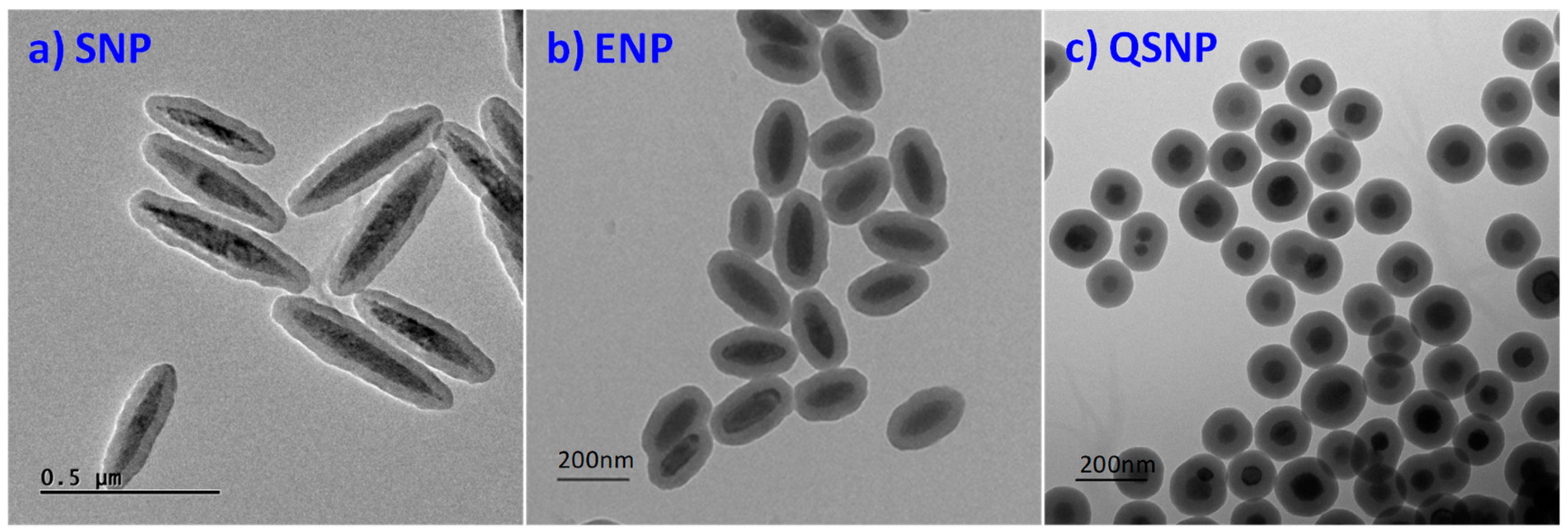 Nanomaterials 09 00154 g004