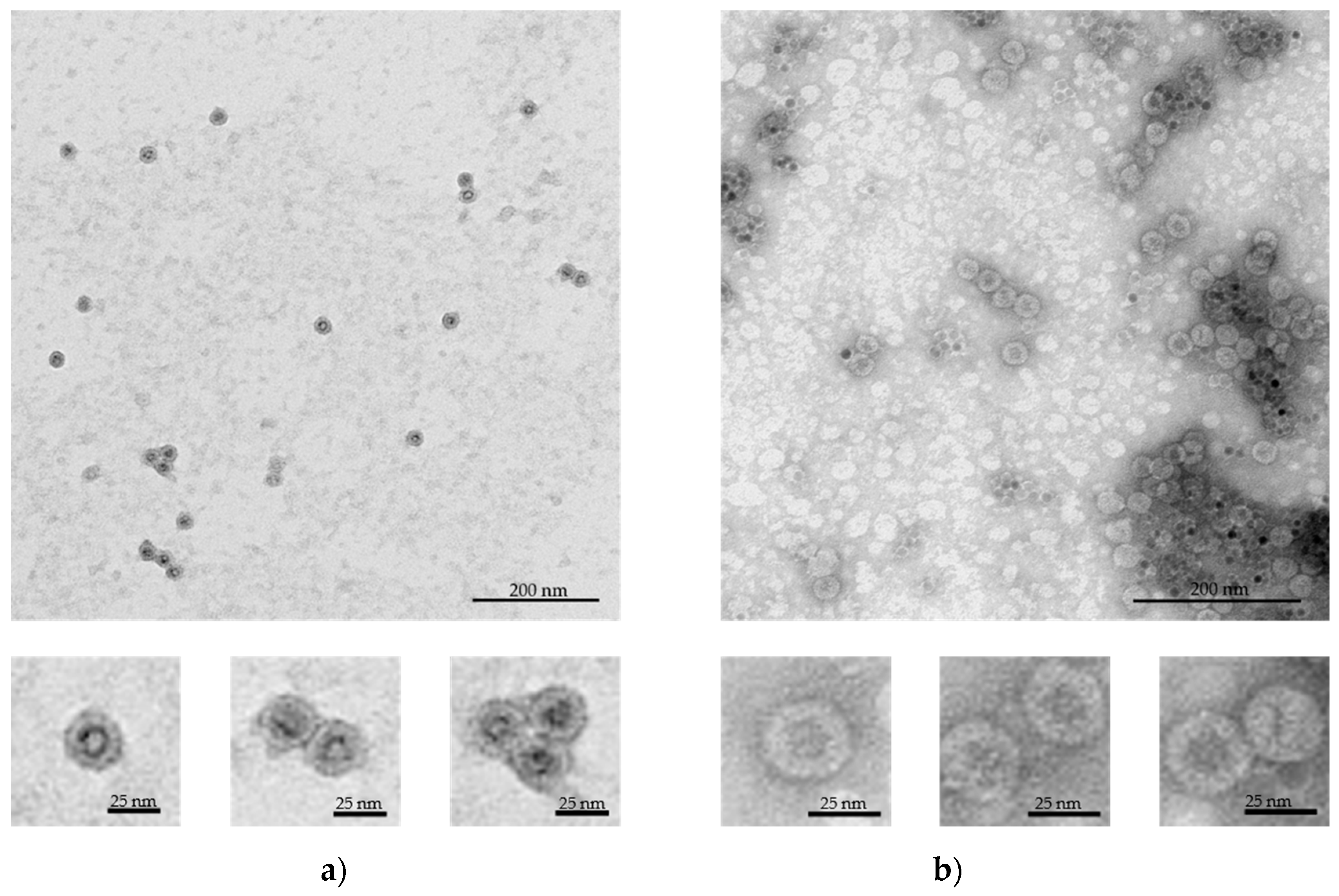 Nanomaterials 09 00155 g002 Nanomaterials 09 00155 g002