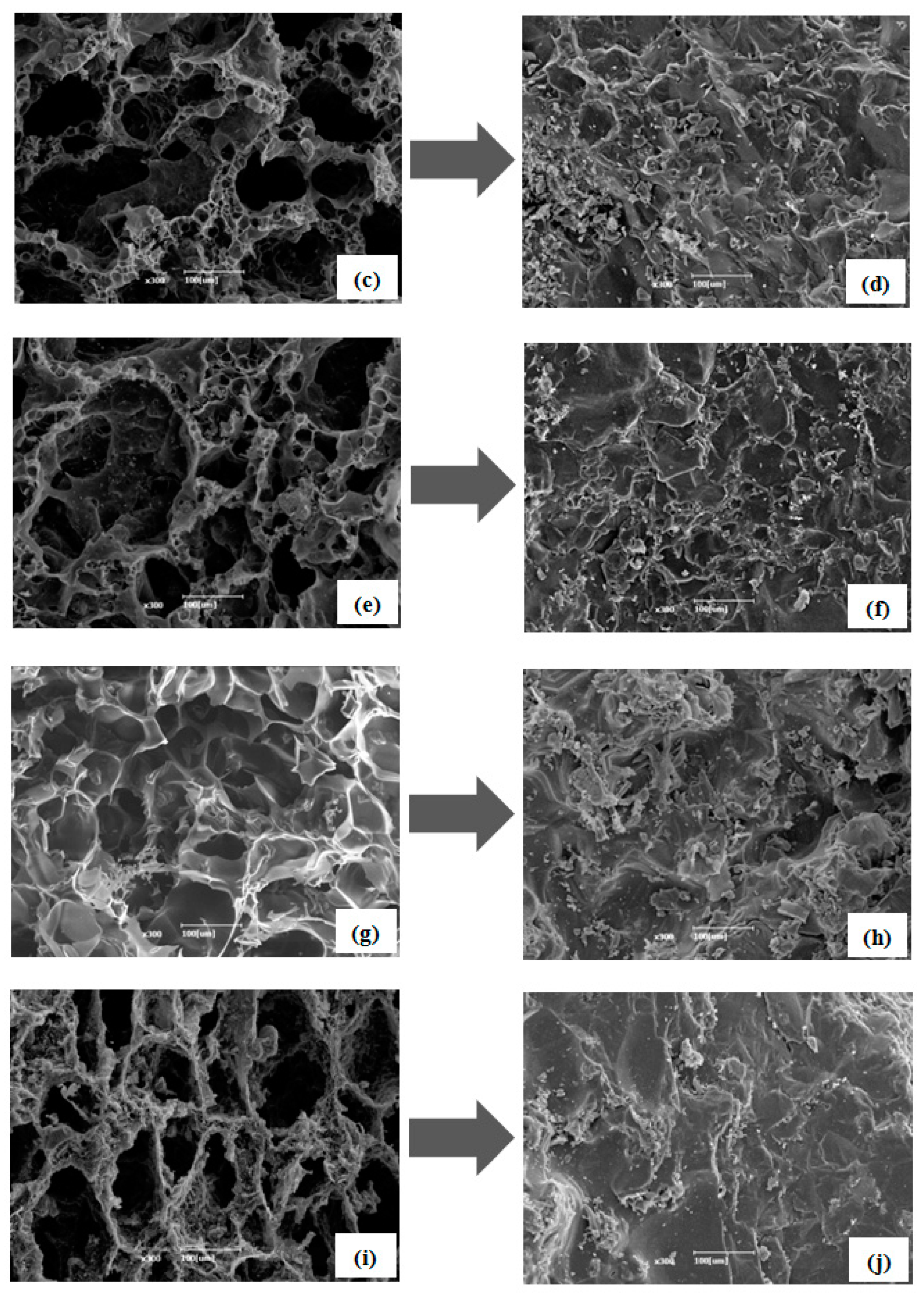 Nanomaterials 09 00158 g006b