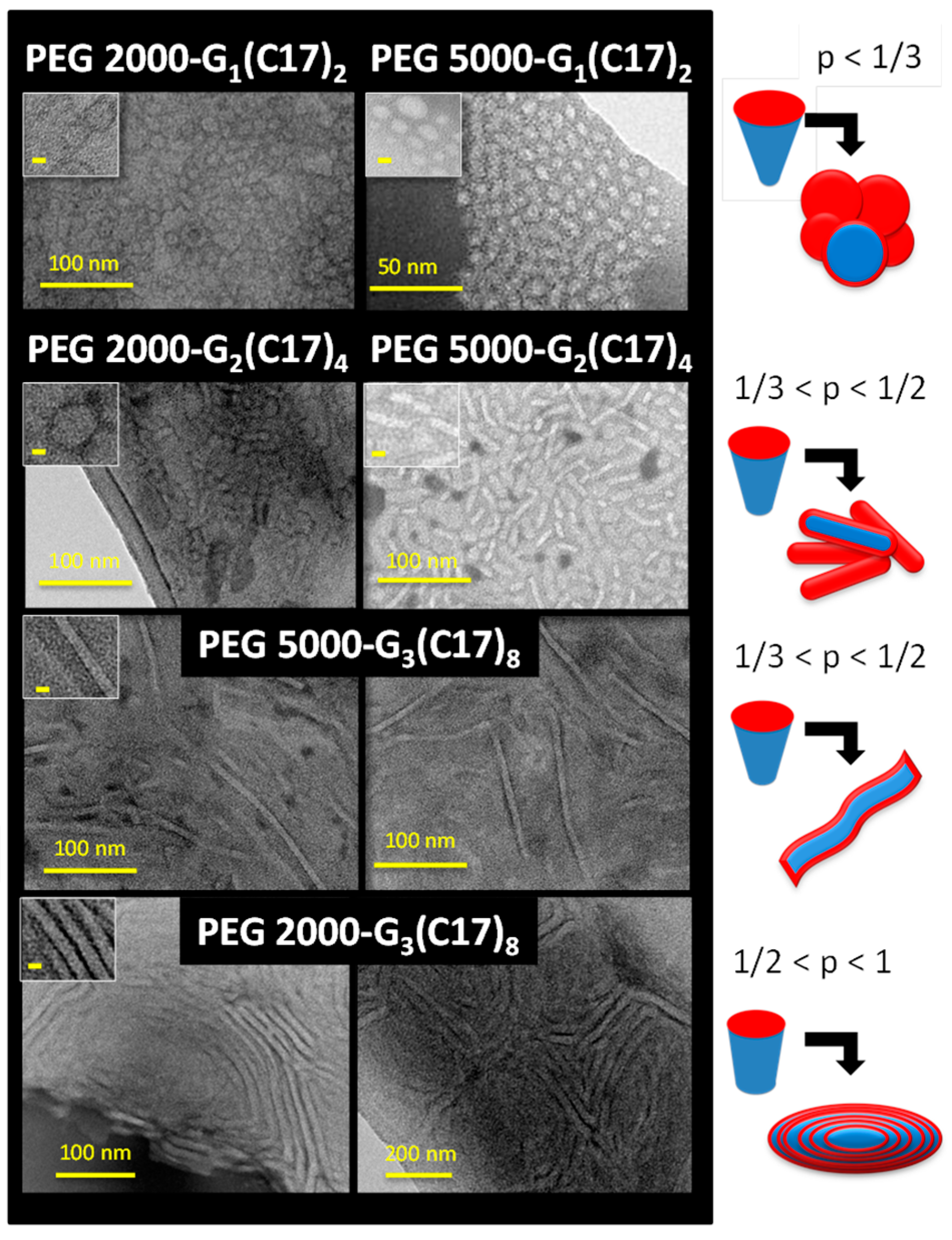 Nanomaterials Free Full Text Self Assembling Hybrid Linear Dendritic Block Copolymers The Design Of Nano Carriers For Lipophilic Antitumoral Drugs Html