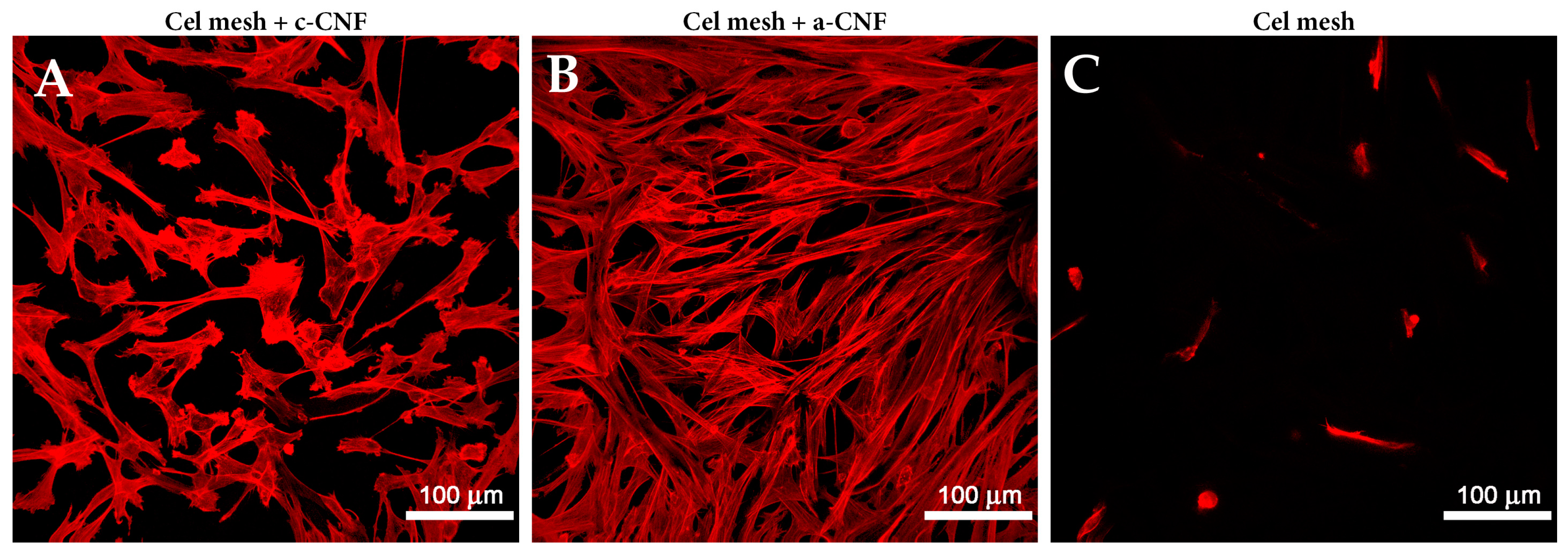 Nanomaterials 09 00164 g002