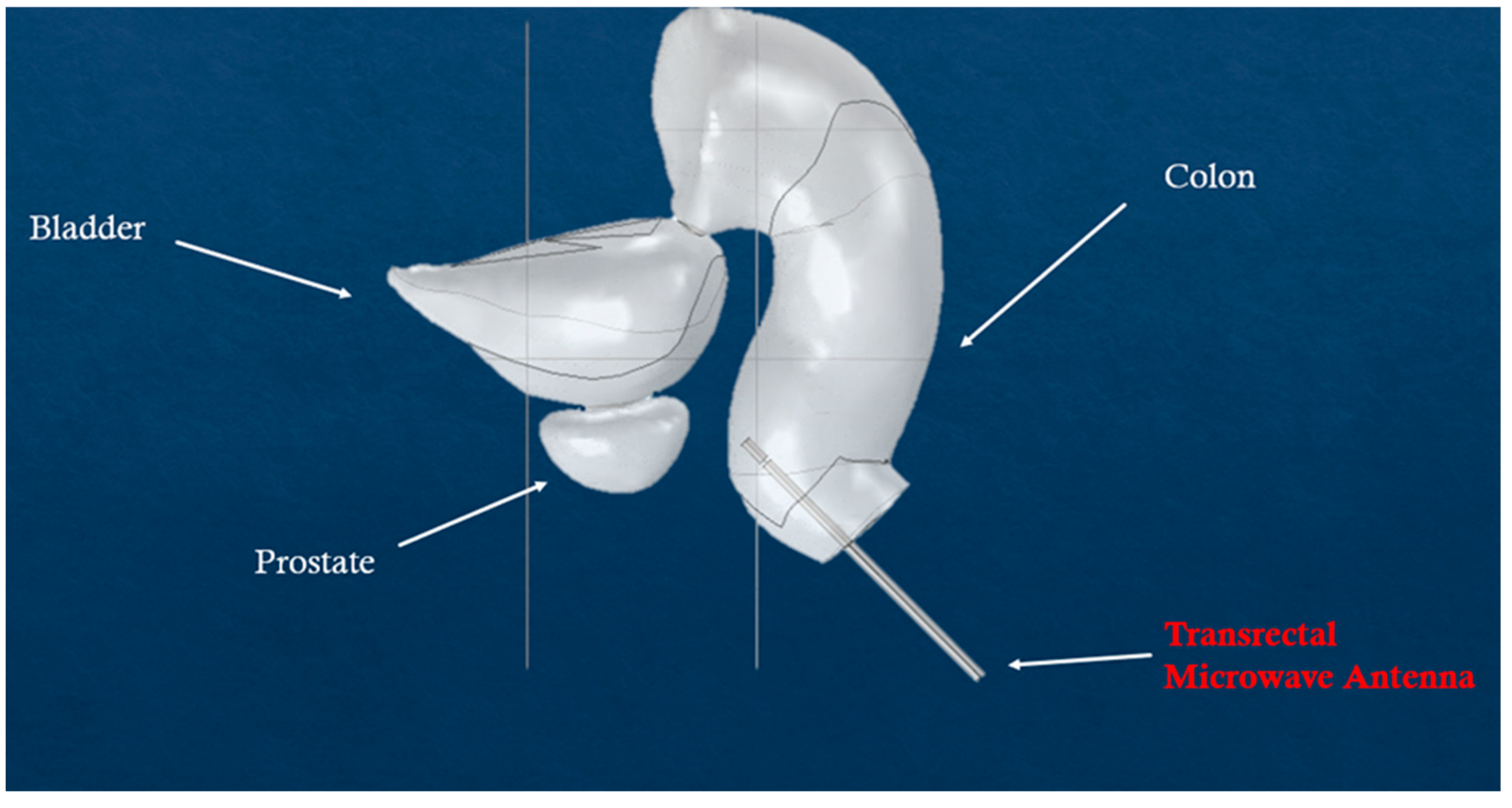 Nanomaterials 09 00167 g008 Nanomaterials 09 00167 g008
