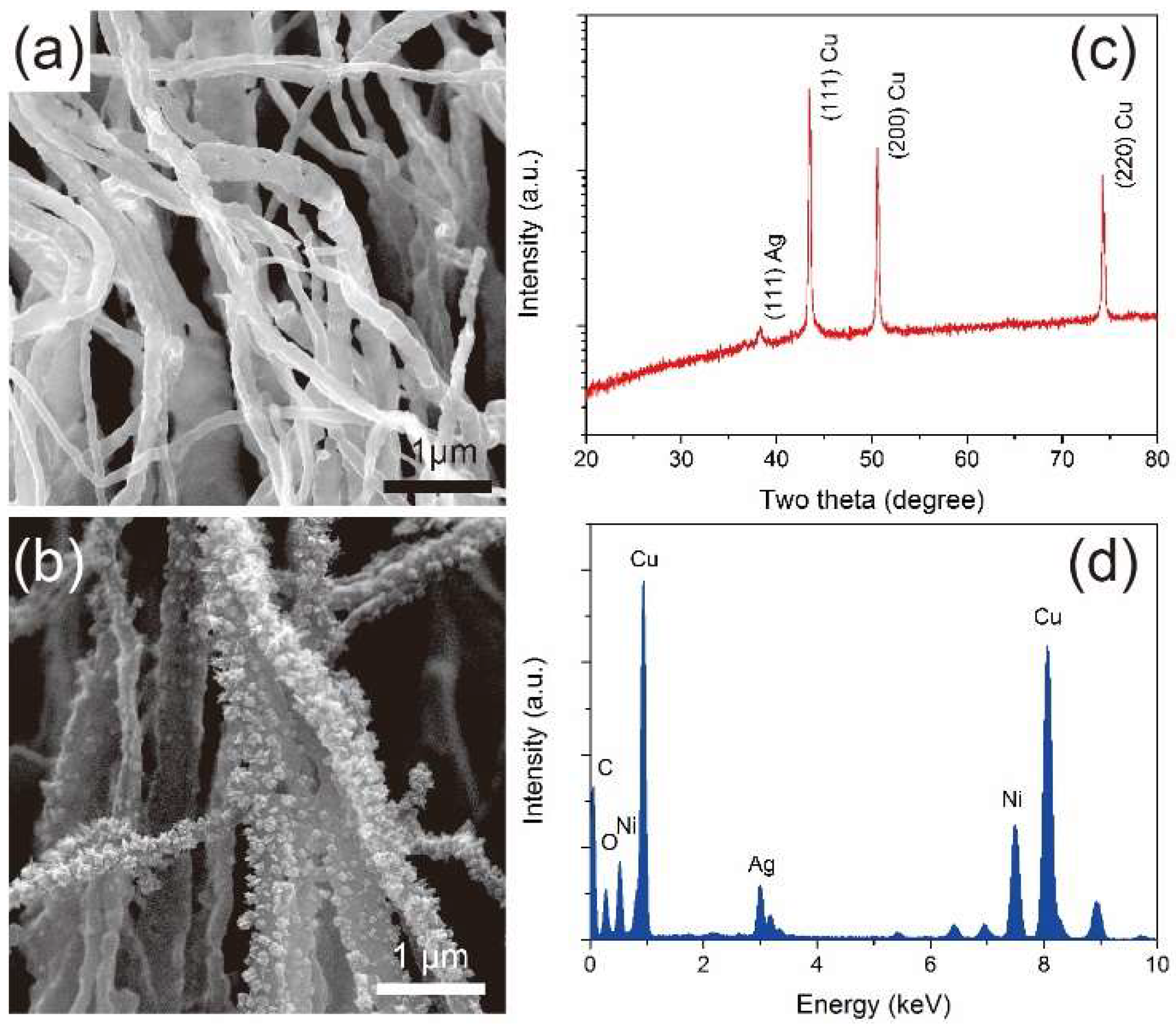 Nanomaterials 09 00173 g004 Nanomaterials 09 00173 g004