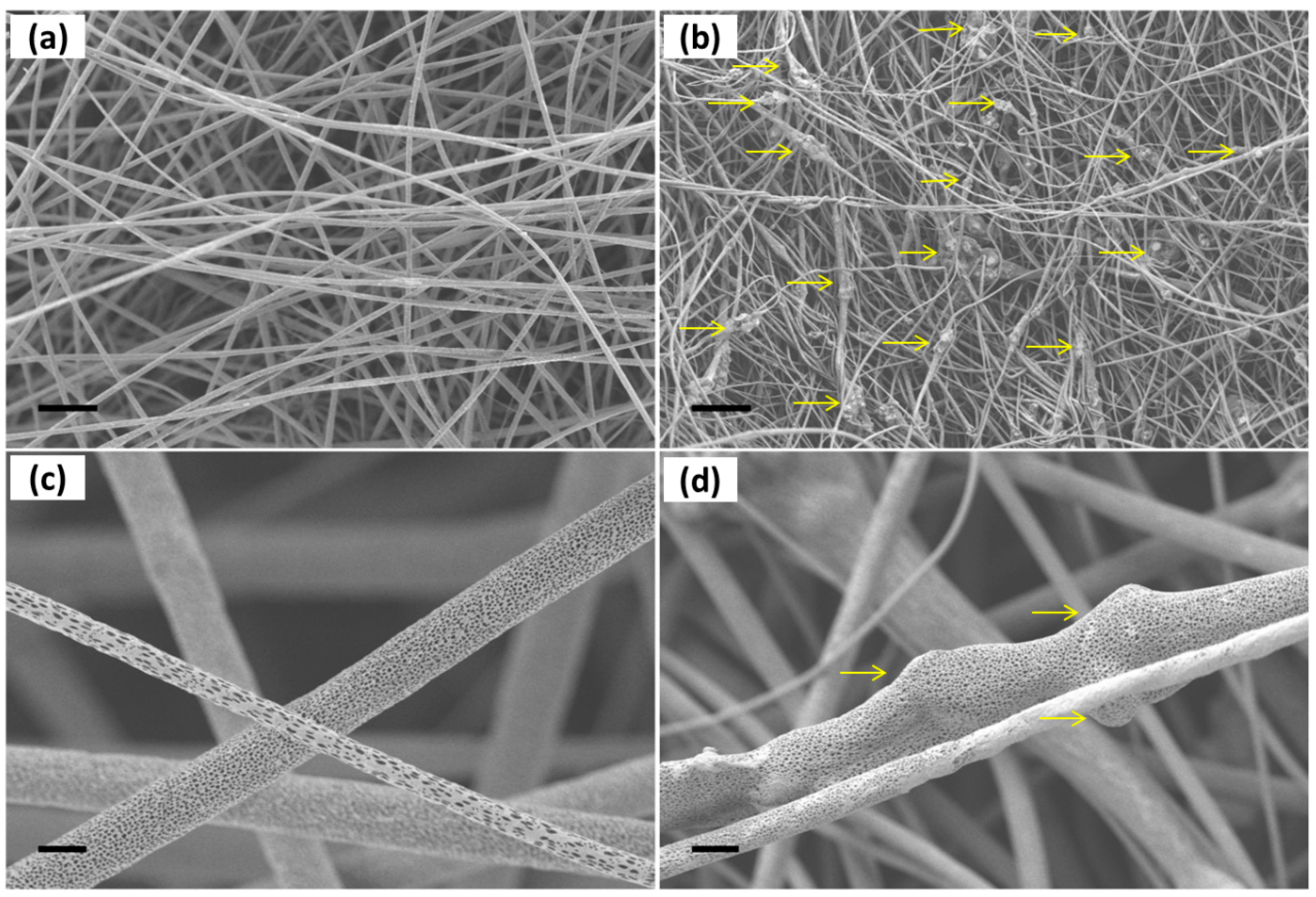 Nanomaterials 09 00182 g002