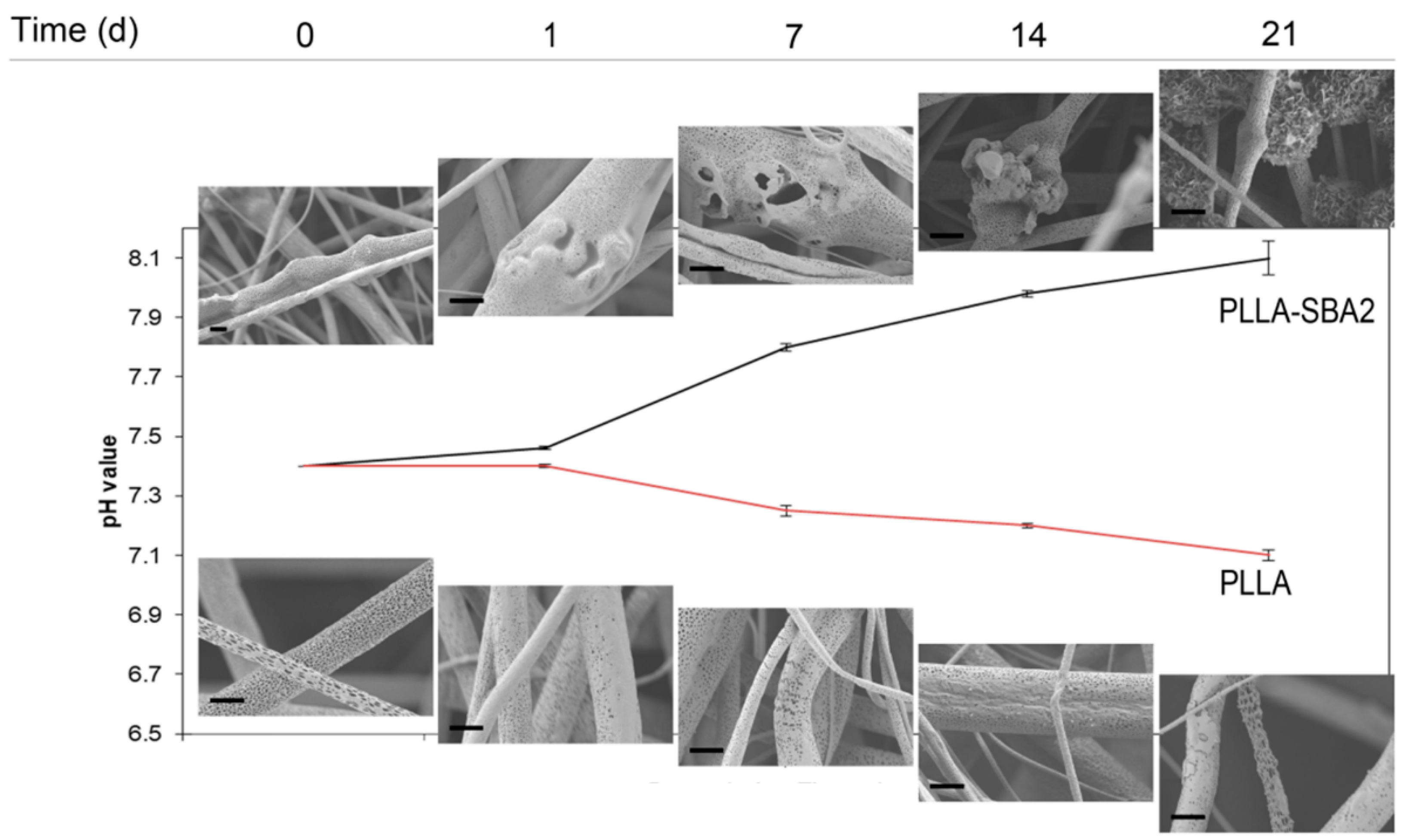 Nanomaterials 09 00182 g005