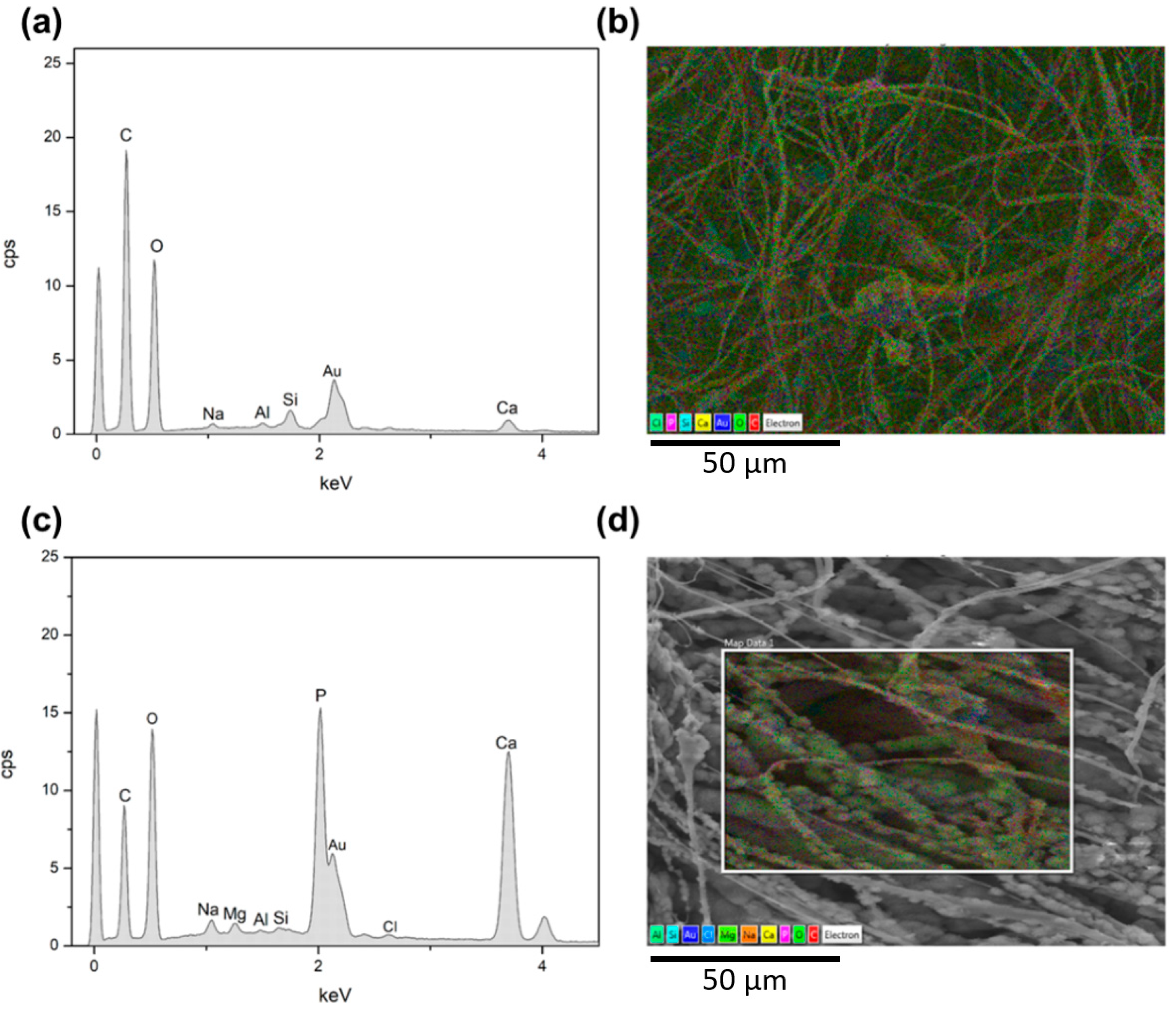 Nanomaterials 09 00182 g006