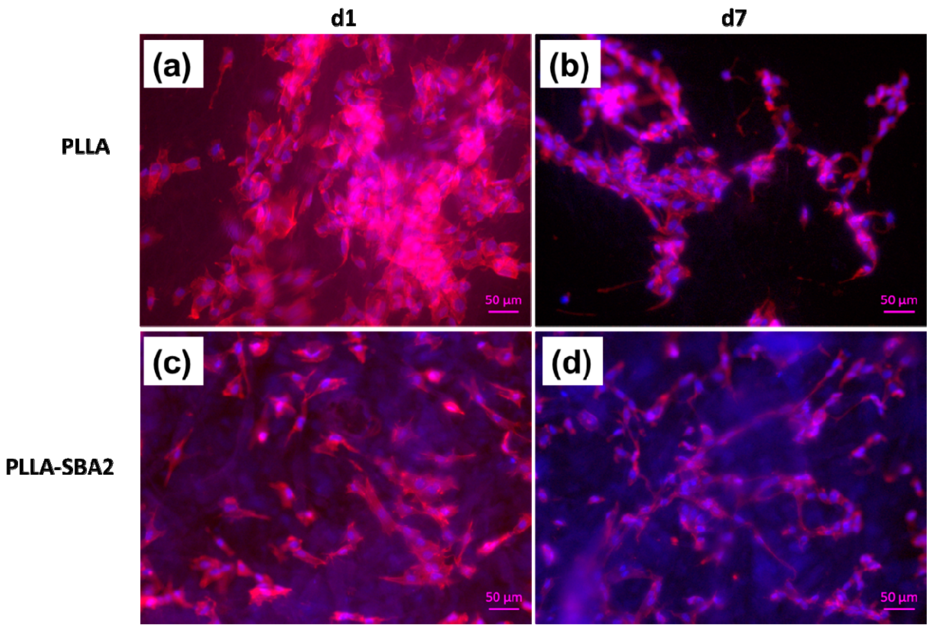 Nanomaterials 09 00182 g009