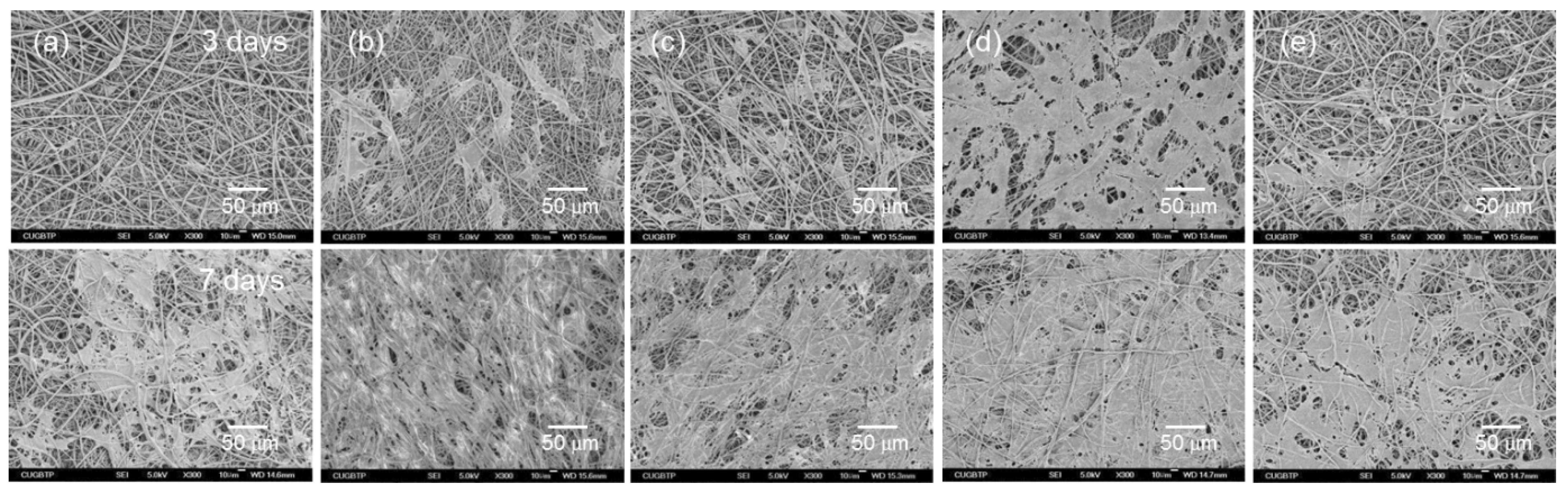 Nanomaterials 09 00184 g009
