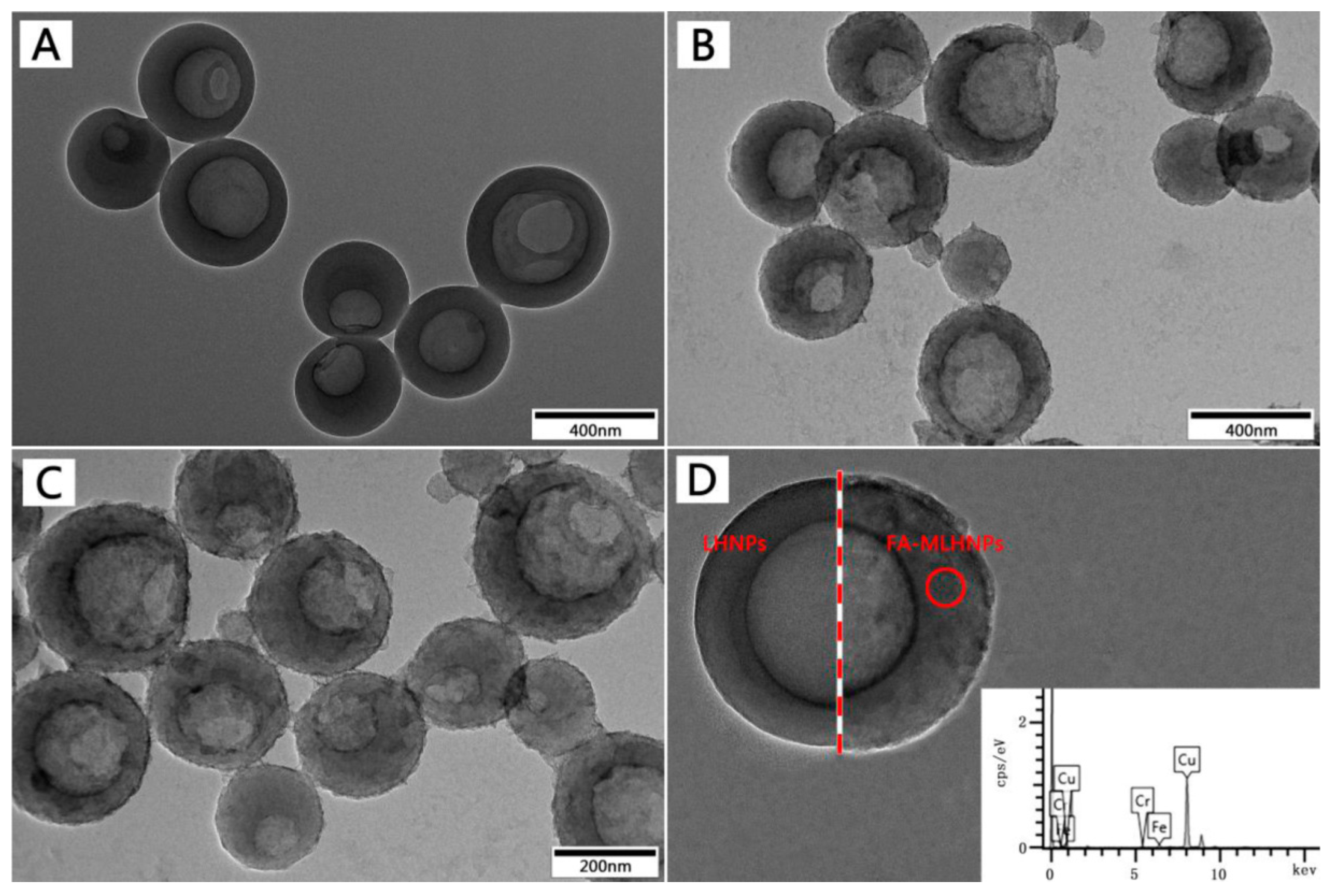 Nanomaterials 09 00188 g002