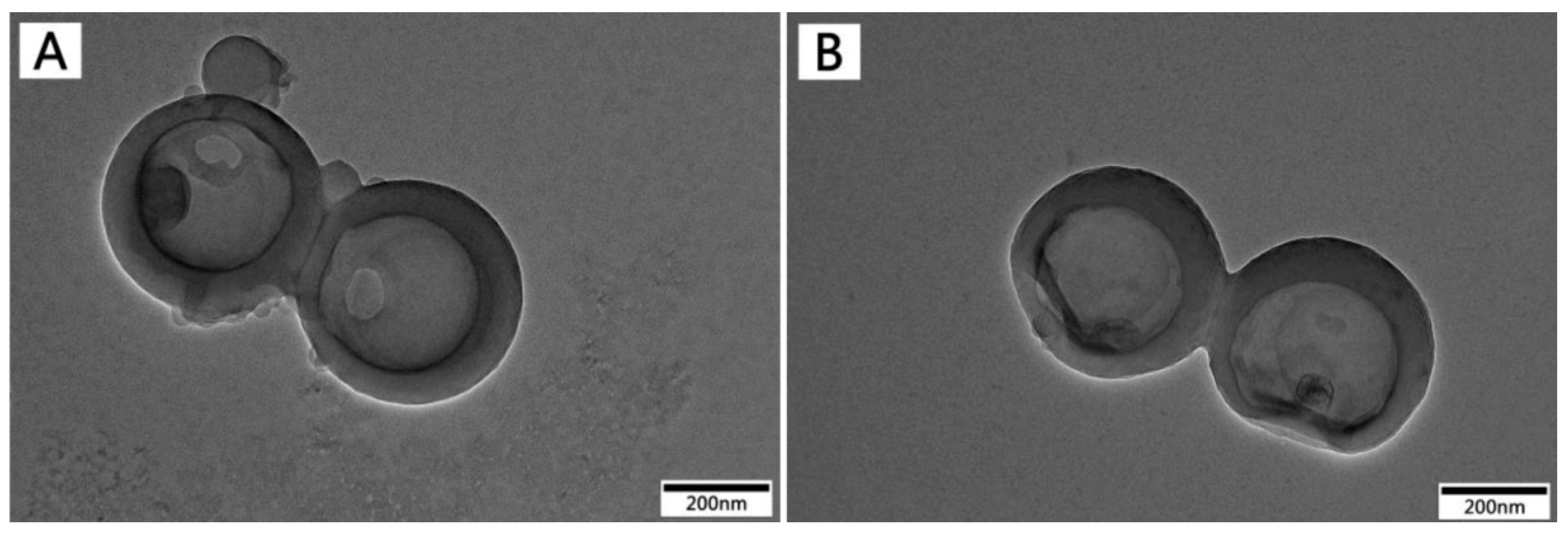 Nanomaterials 09 00188 g006