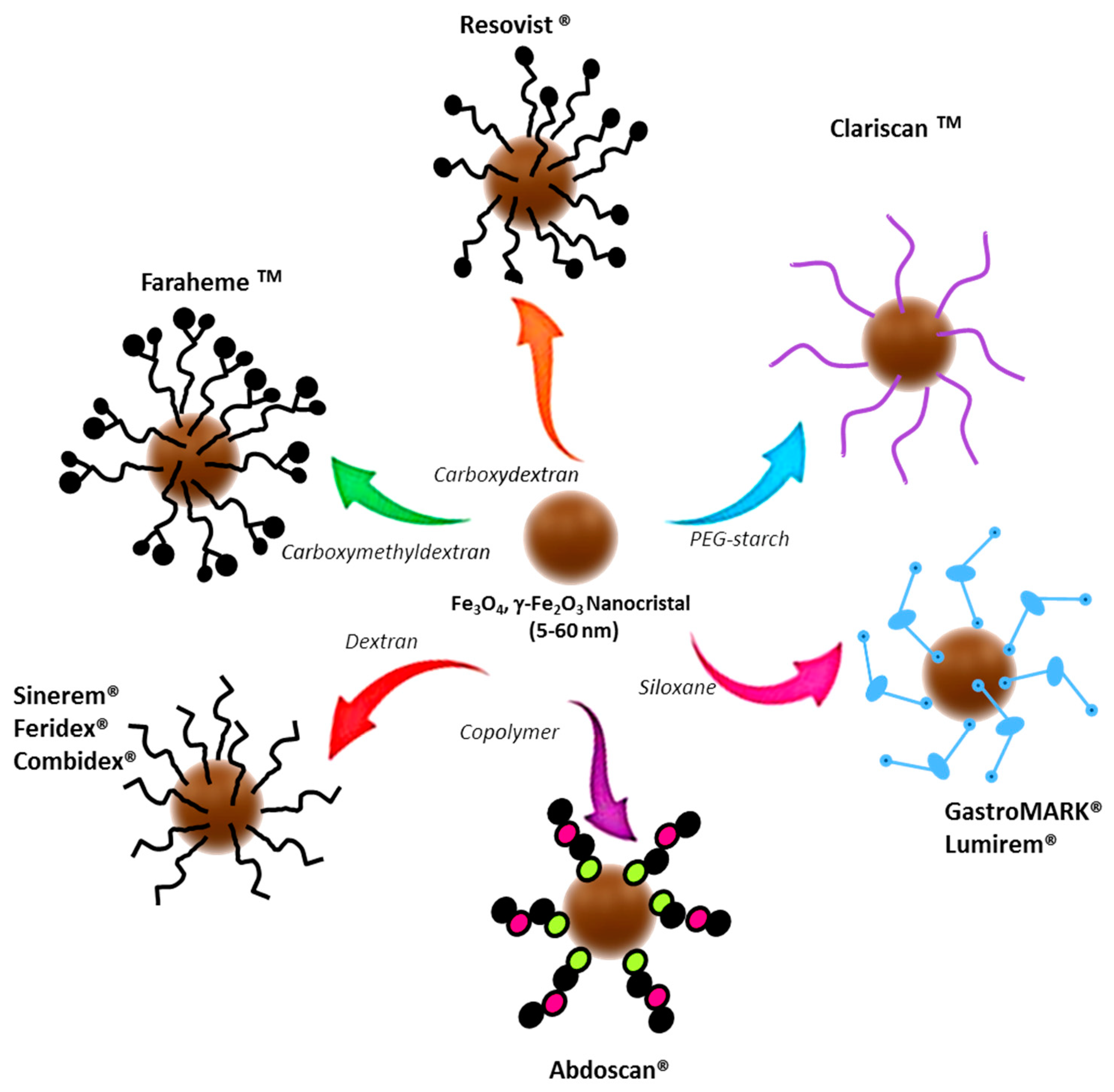 Nanomaterials 09 00191 g003 550