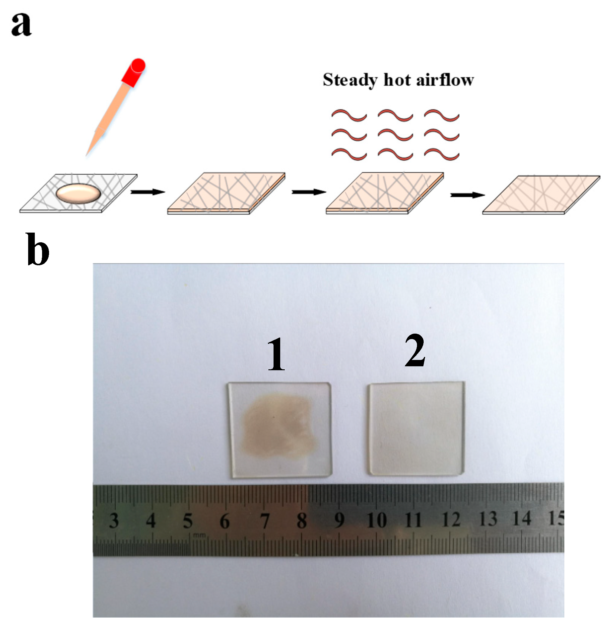 Nanomaterials 09 00193 g002 Nanomaterials 09 00193 g002