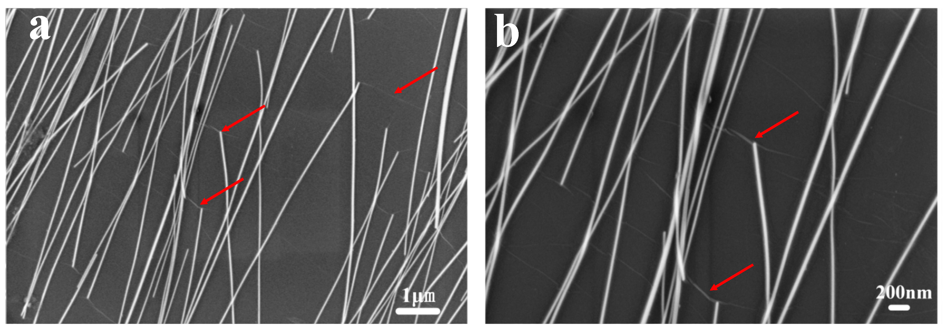 Nanomaterials 09 00193 g004 Nanomaterials 09 00193 g004