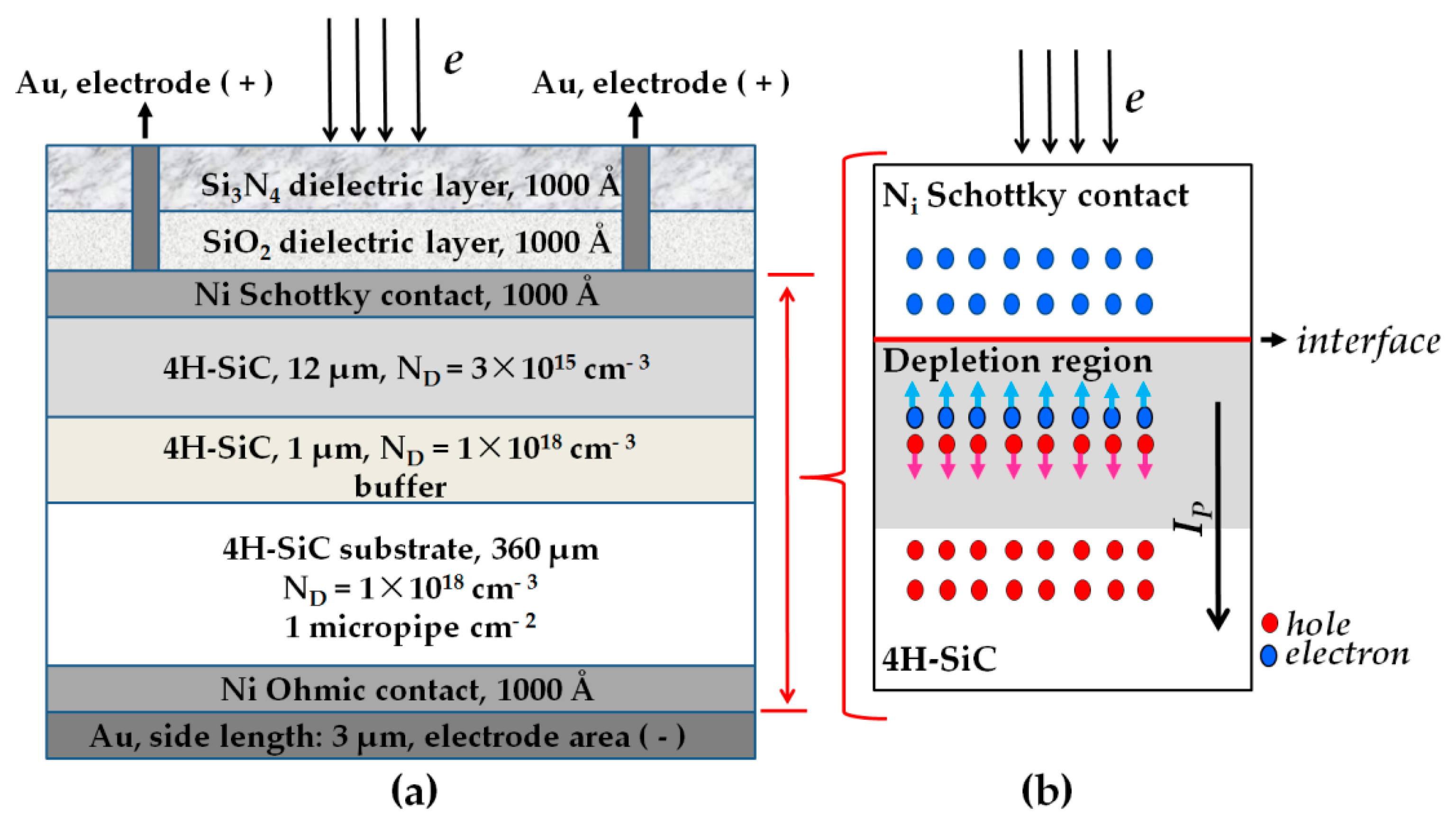 Nanomaterials 09 00194 g001