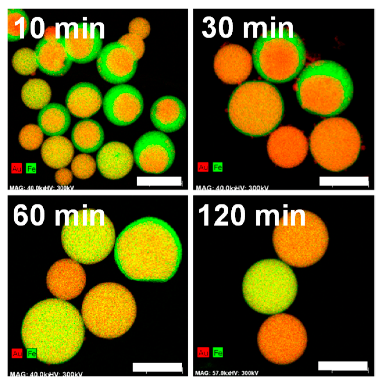 Nanomaterials 09 00198 g008