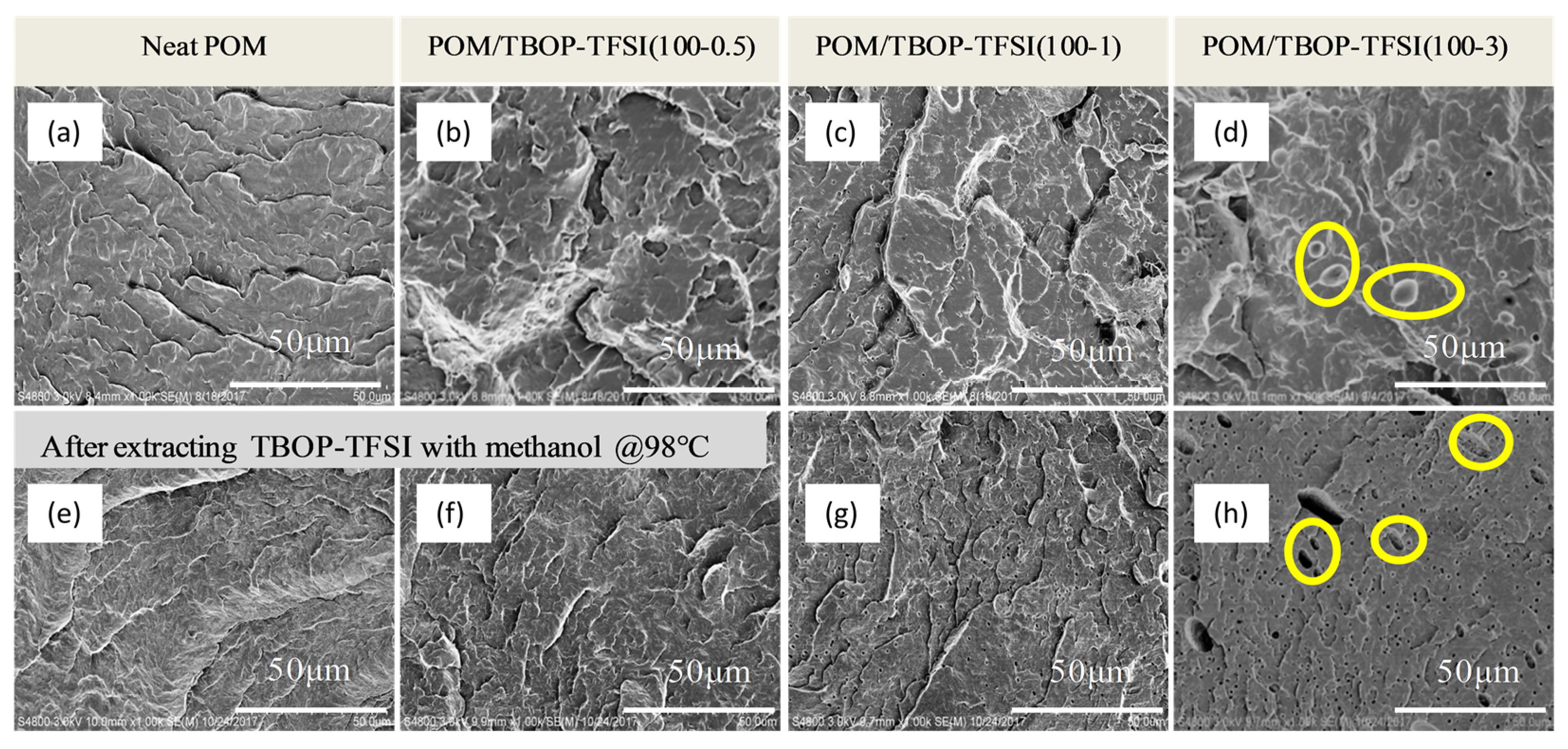 Nanomaterials 09 00206 g001