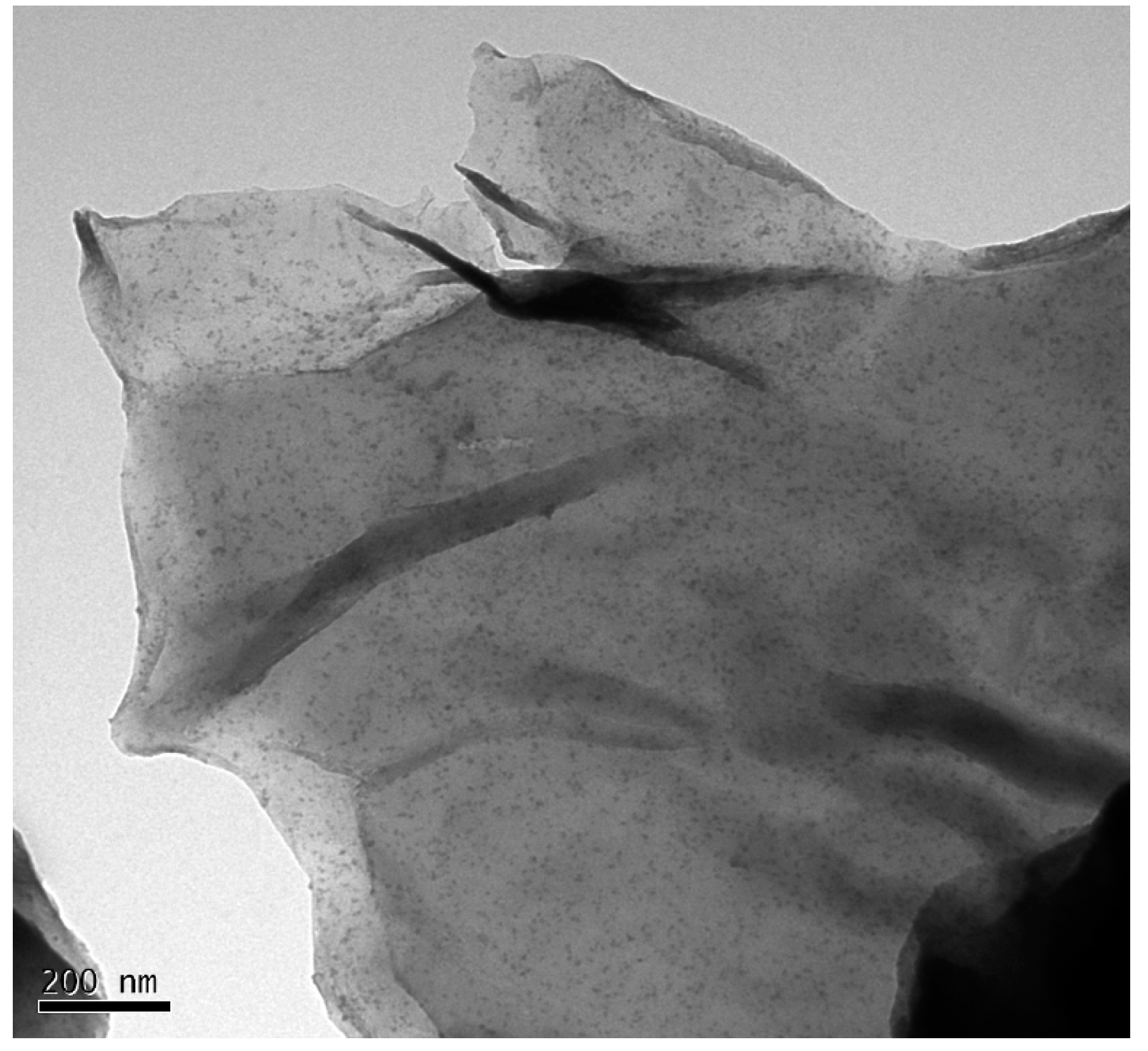Nanomaterials 09 00207 g005