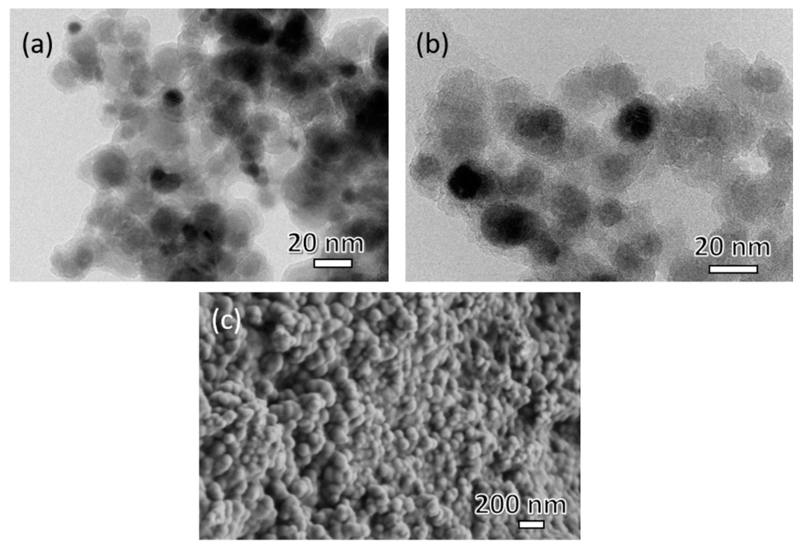 Nanomaterials 09 00209 g002 550