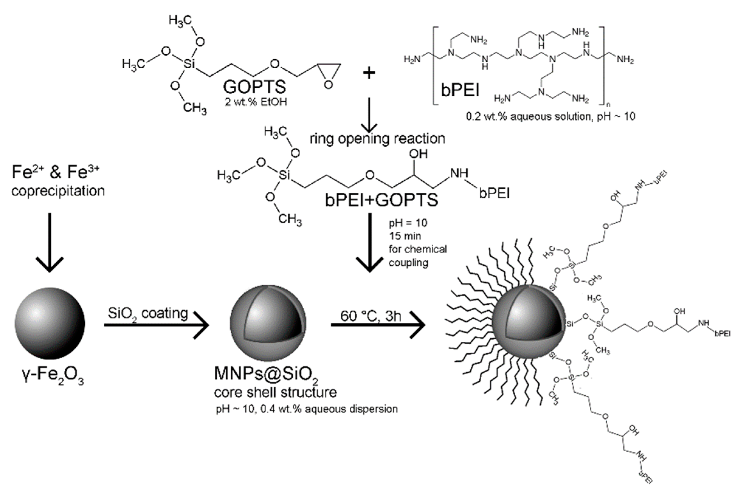 Nanomaterials 09 00209 sch001 550