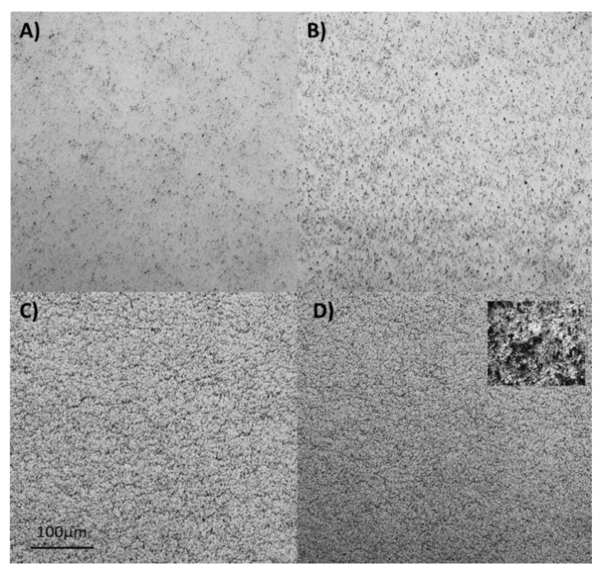 Nanomaterials 09 00221 g003 550
