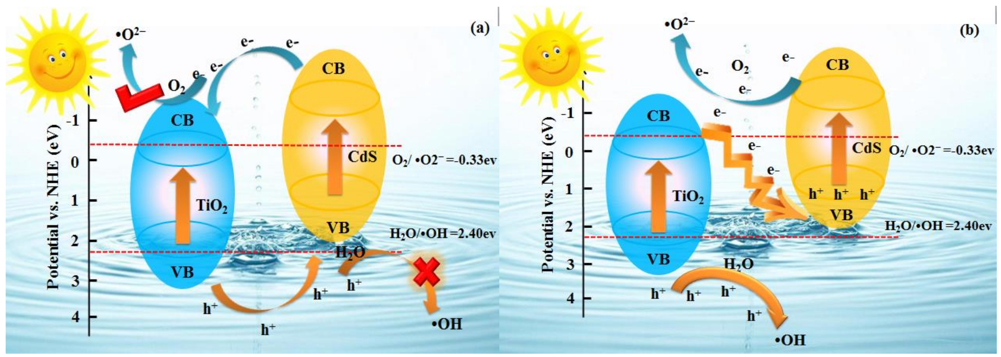 Nanomaterials 09 00222 g007