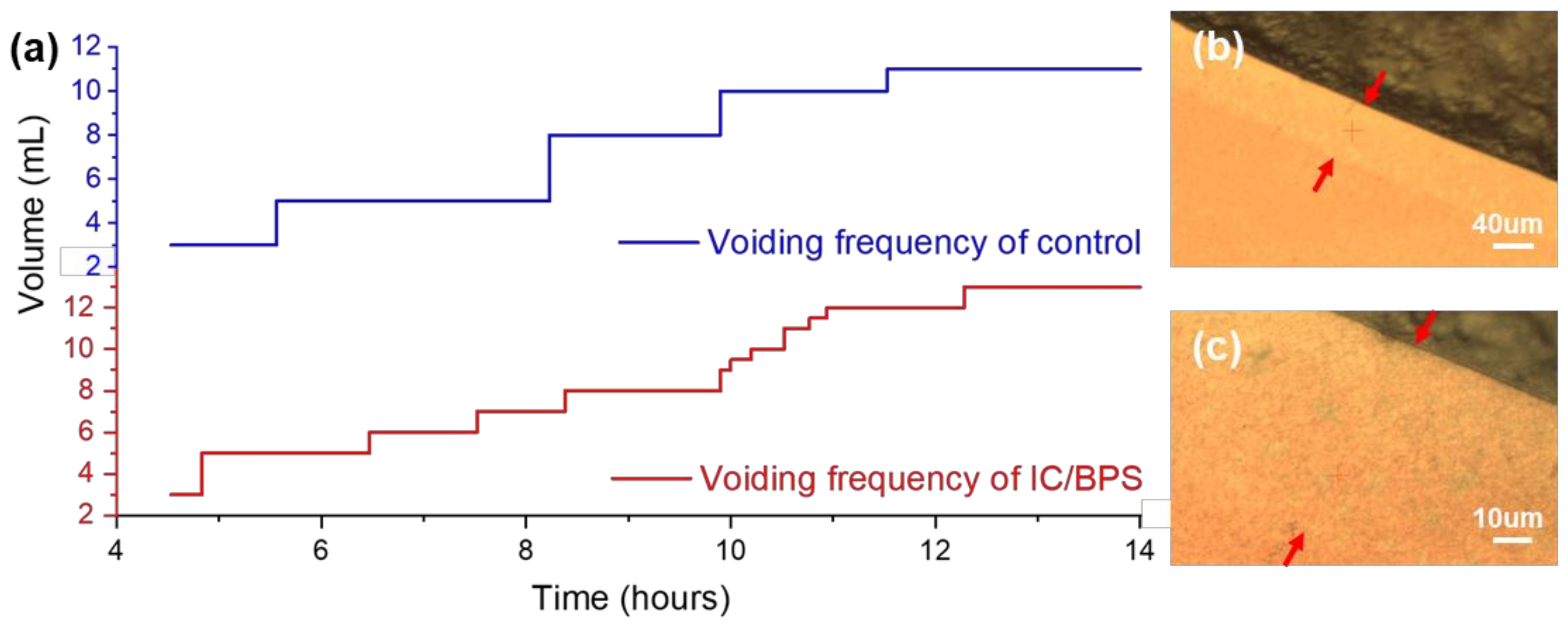 Nanomaterials 09 00224 g002 Nanomaterials 09 00224 g002