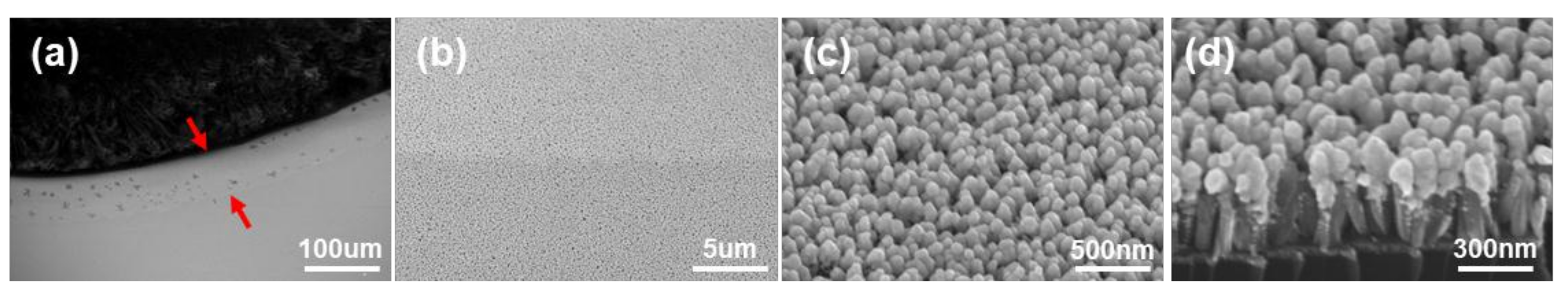 Nanomaterials 09 00224 g003 Nanomaterials 09 00224 g003