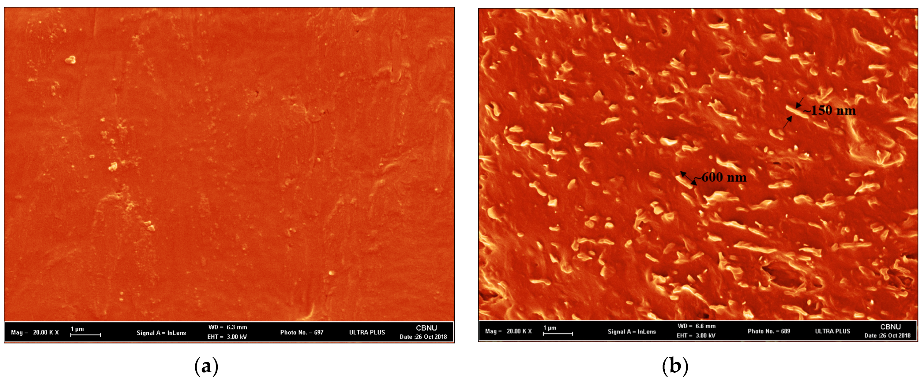 Nanomaterials 09 00225 g006