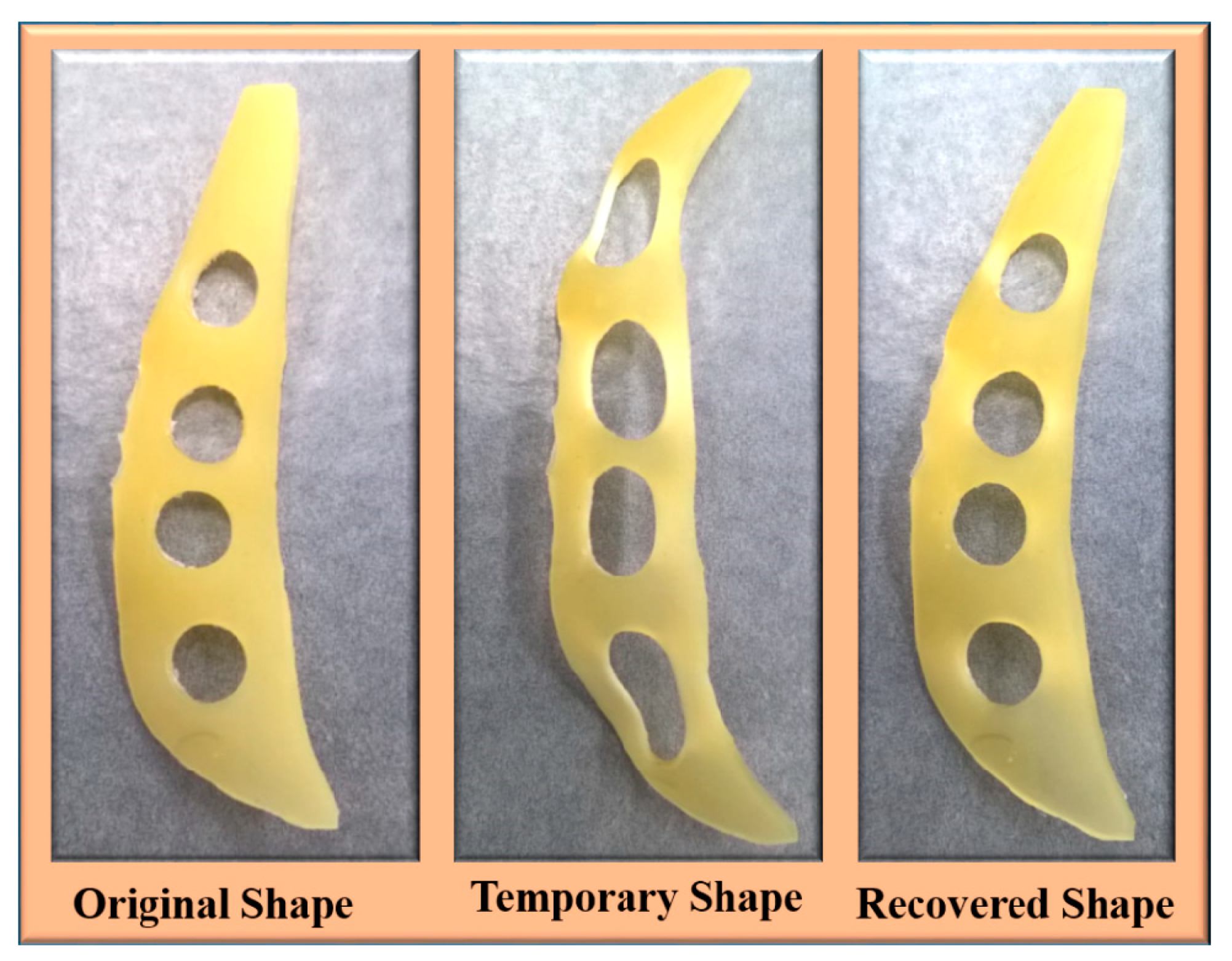 Nanomaterials 09 00225 g010