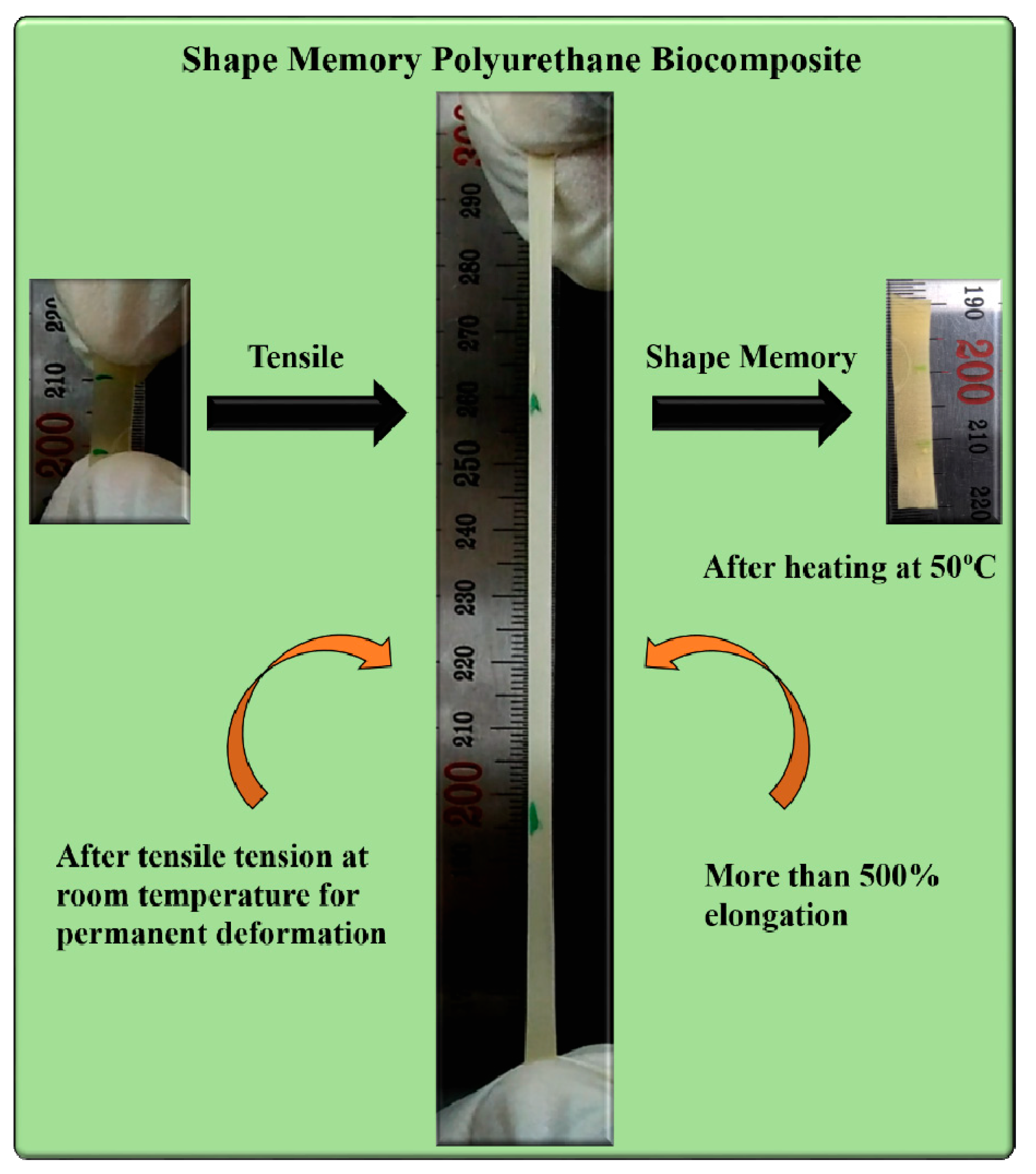 Nanomaterials 09 00225 g011