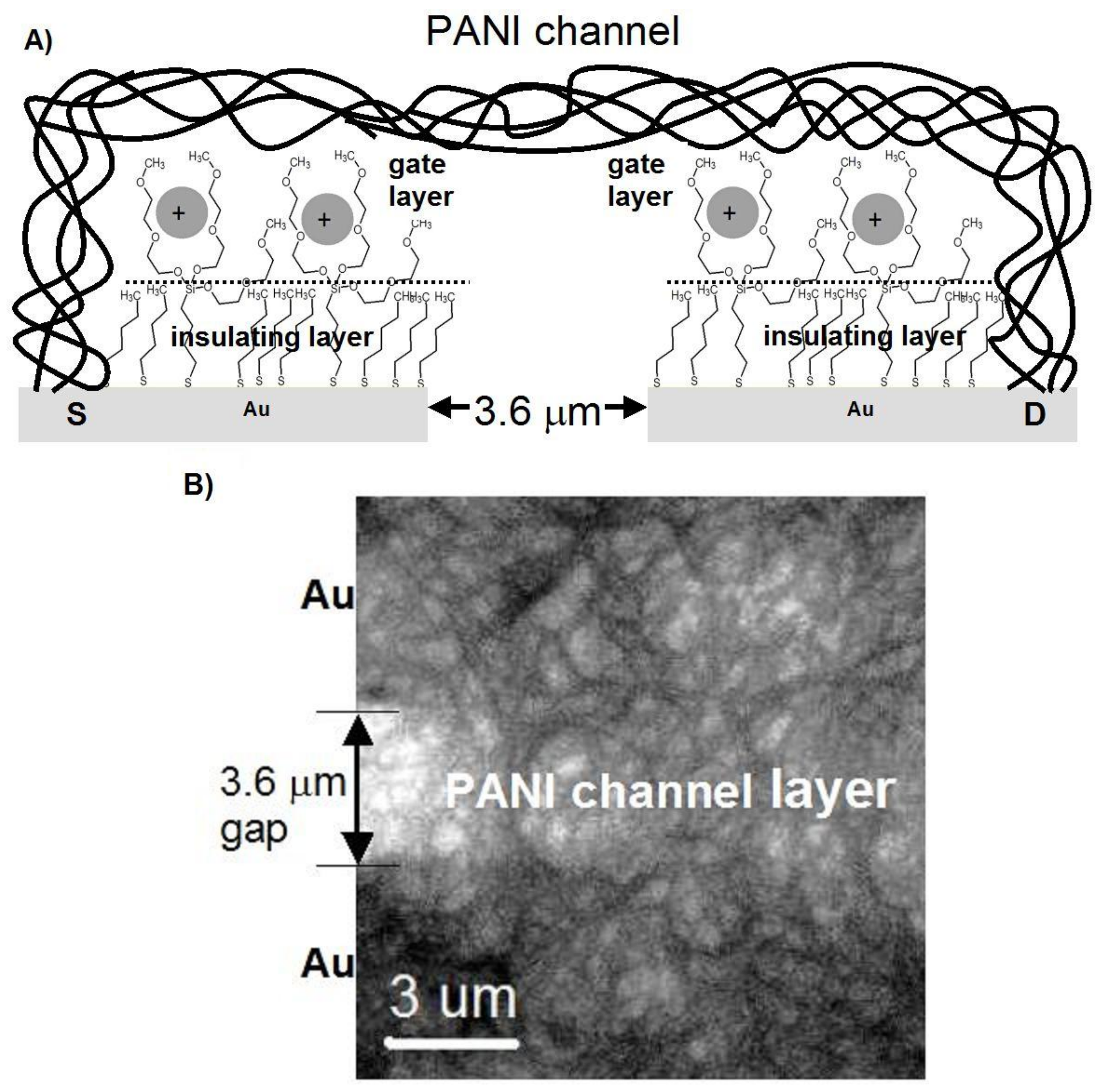 Nanomaterials 09 00231 g003