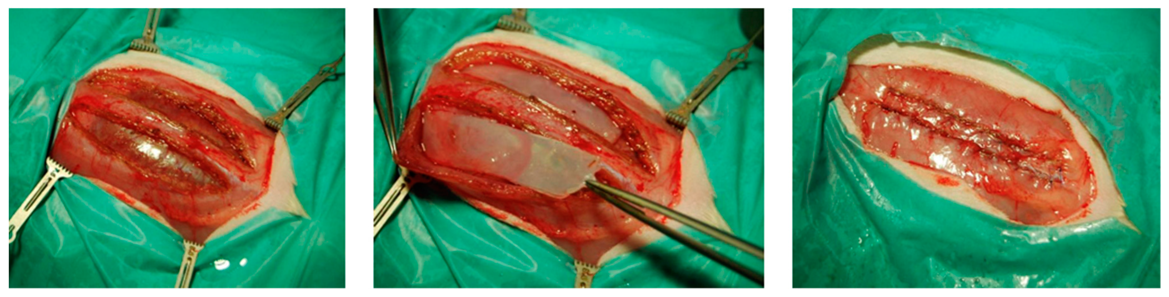 Nanomaterials 09 00236 g001 550