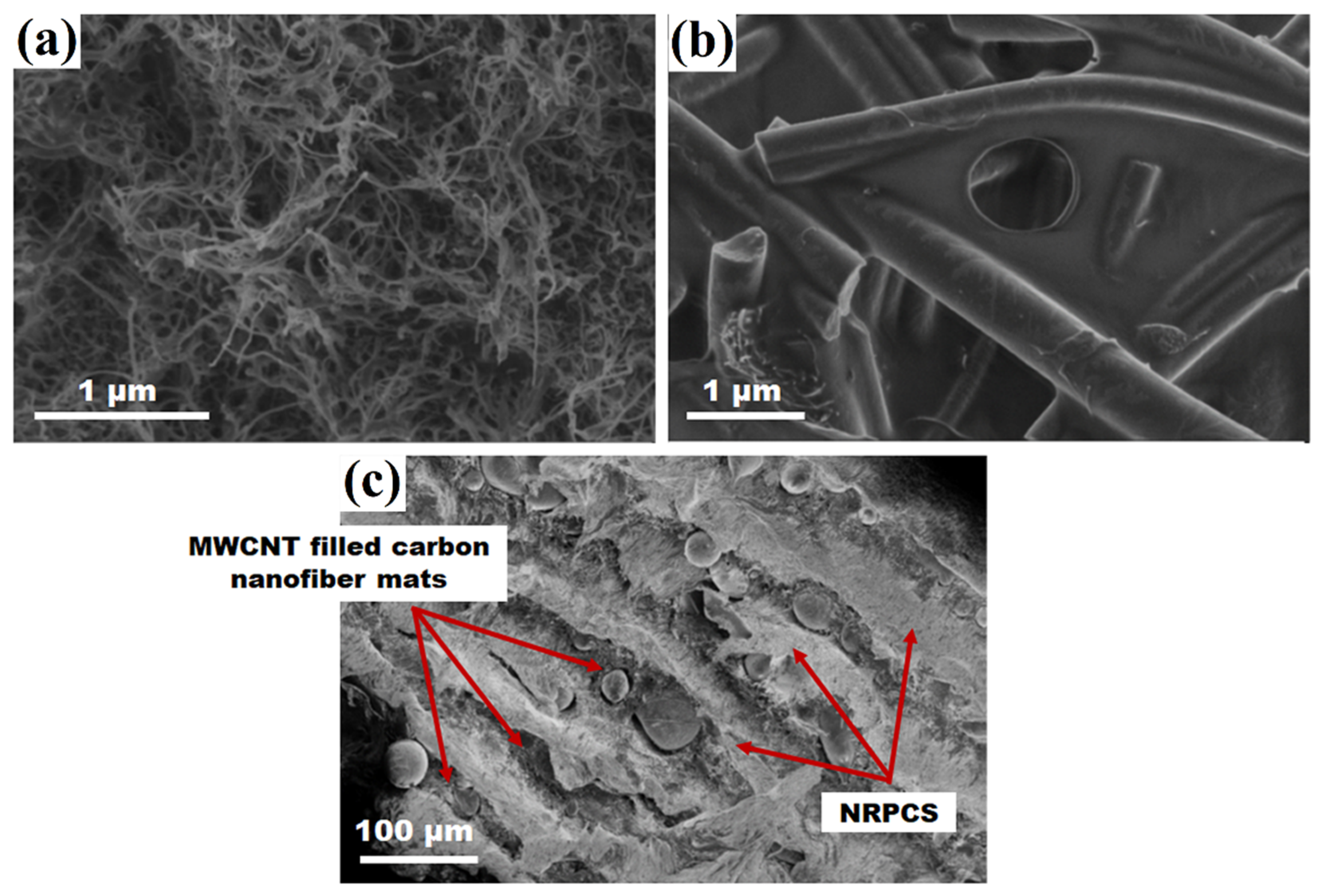 Nanomaterials 09 00238 g005