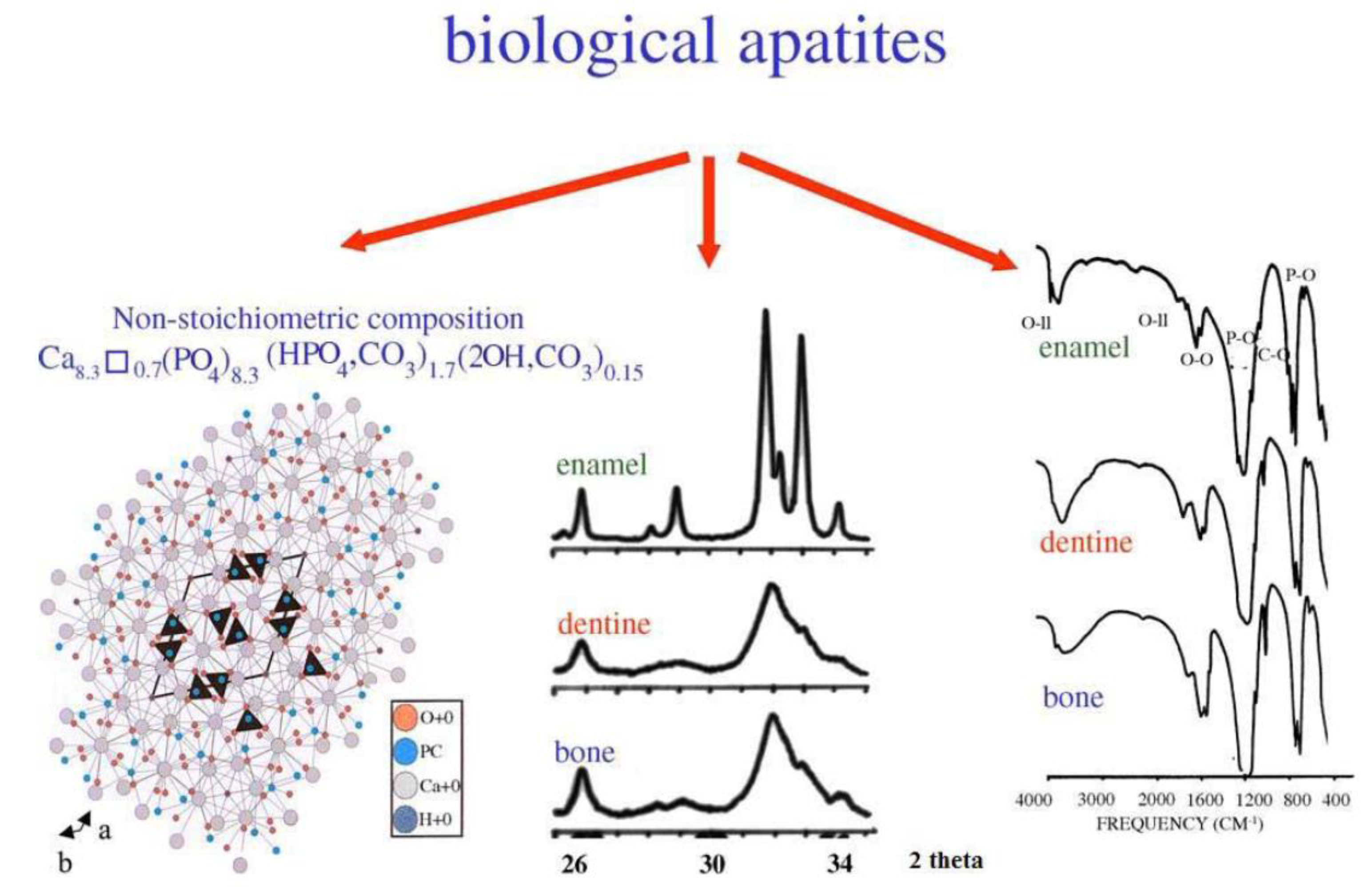 Nanomaterials 09 00239 g001 550