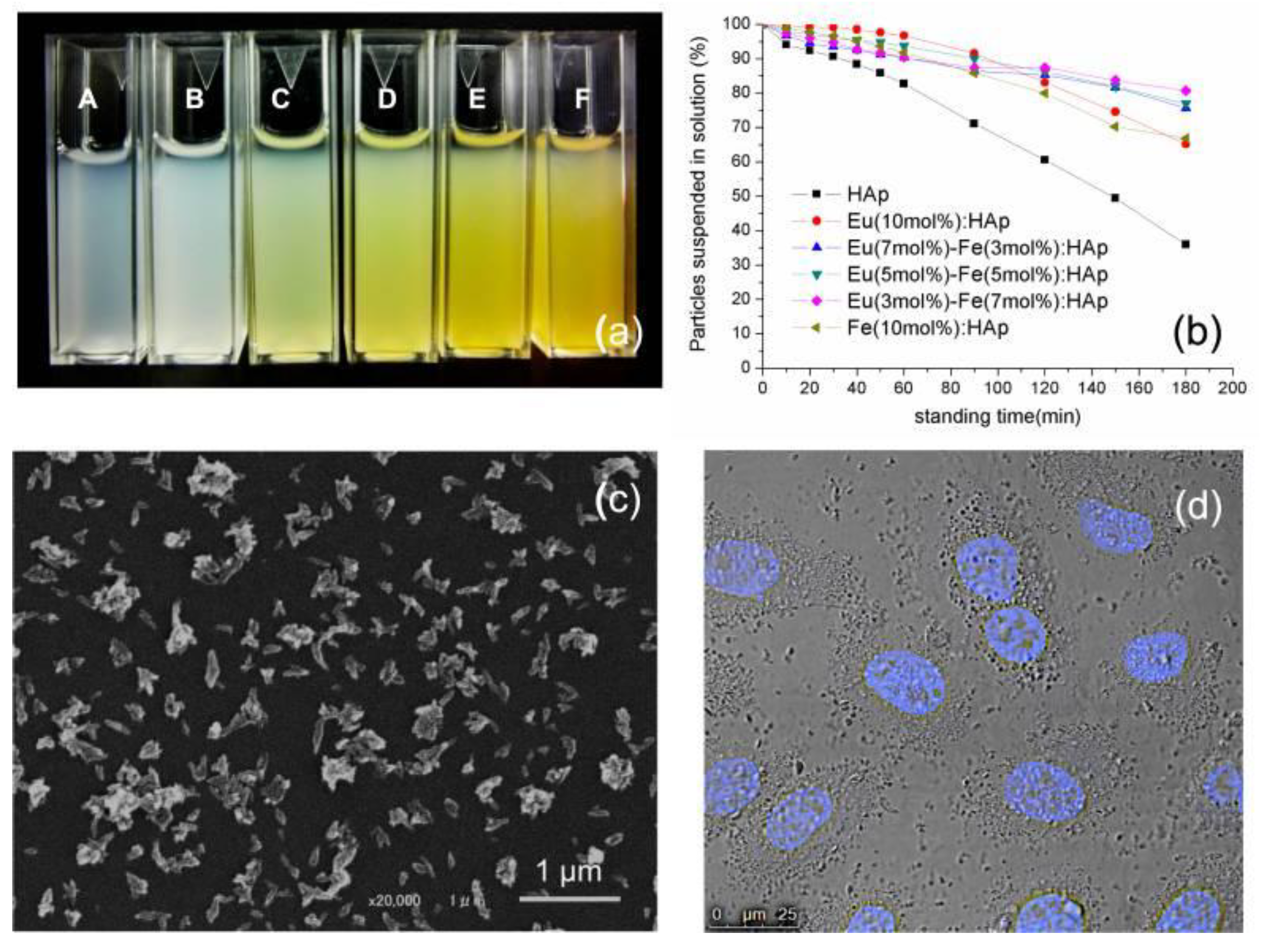 Nanomaterials 09 00239 g011 550