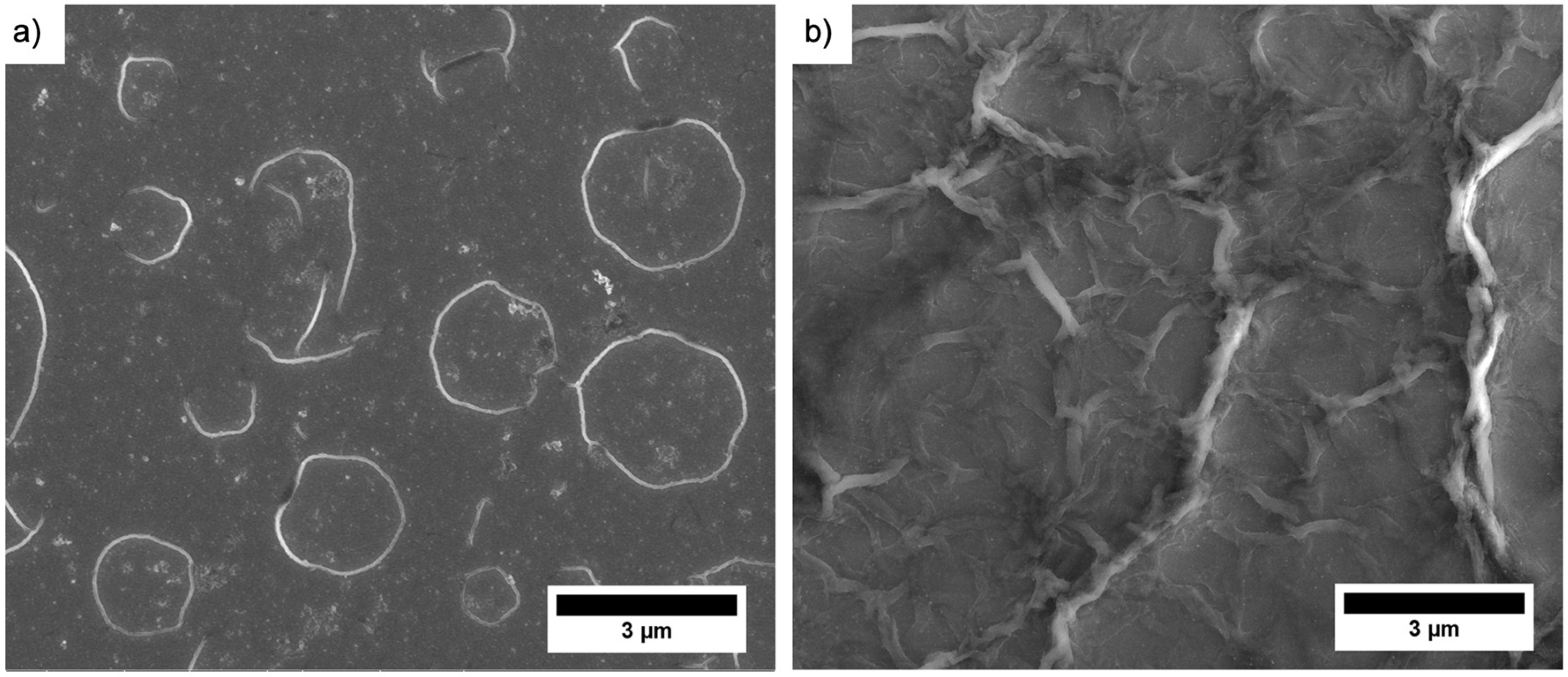 Nanomaterials 09 00242 g002