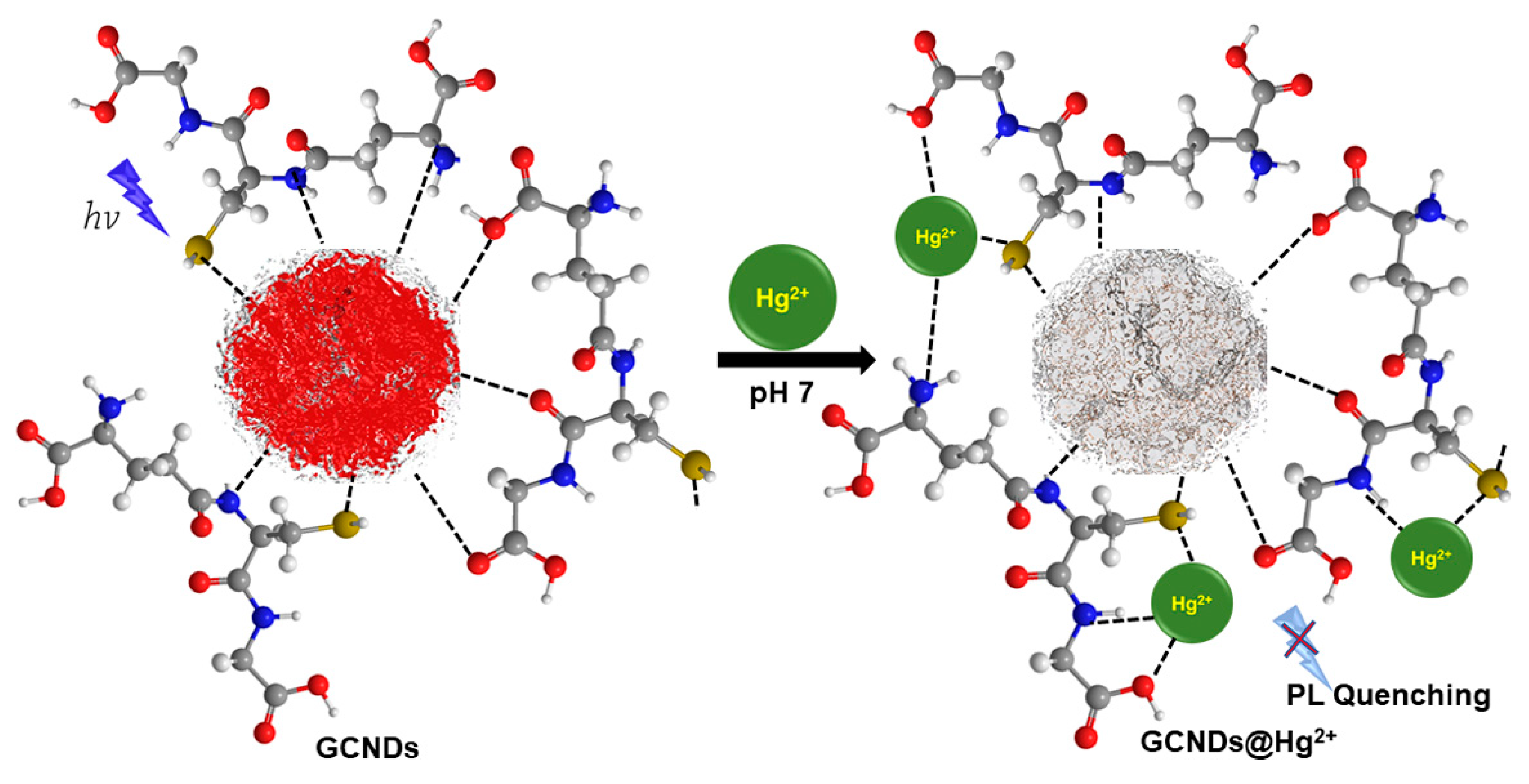 Nanomaterials 09 00245 sch002 Nanomaterials 09 00245 sch002