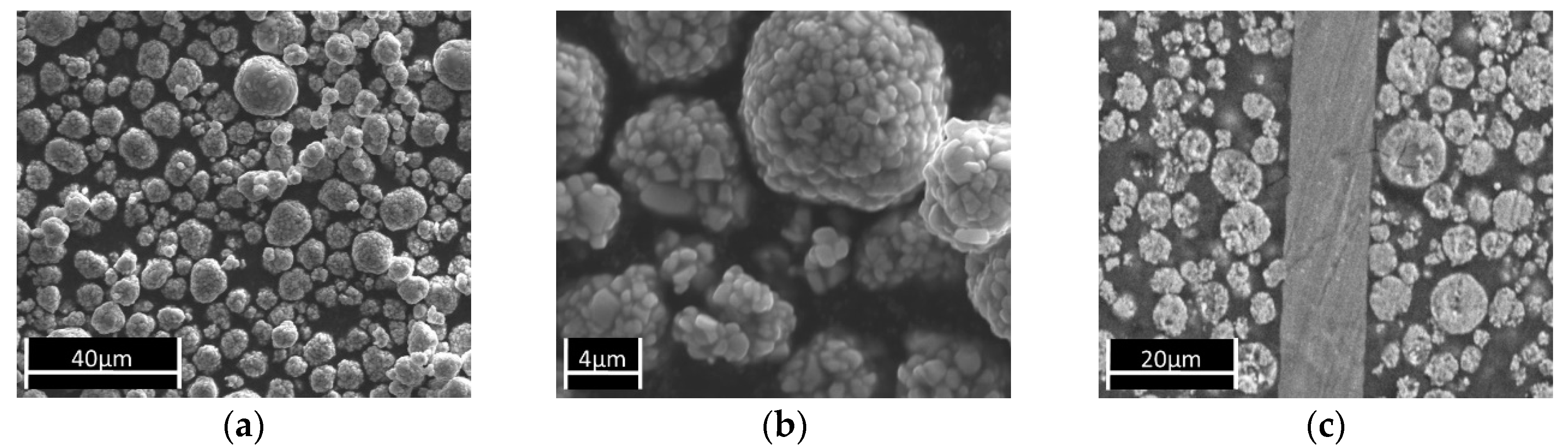 Nanomaterials 09 00246 g002 550