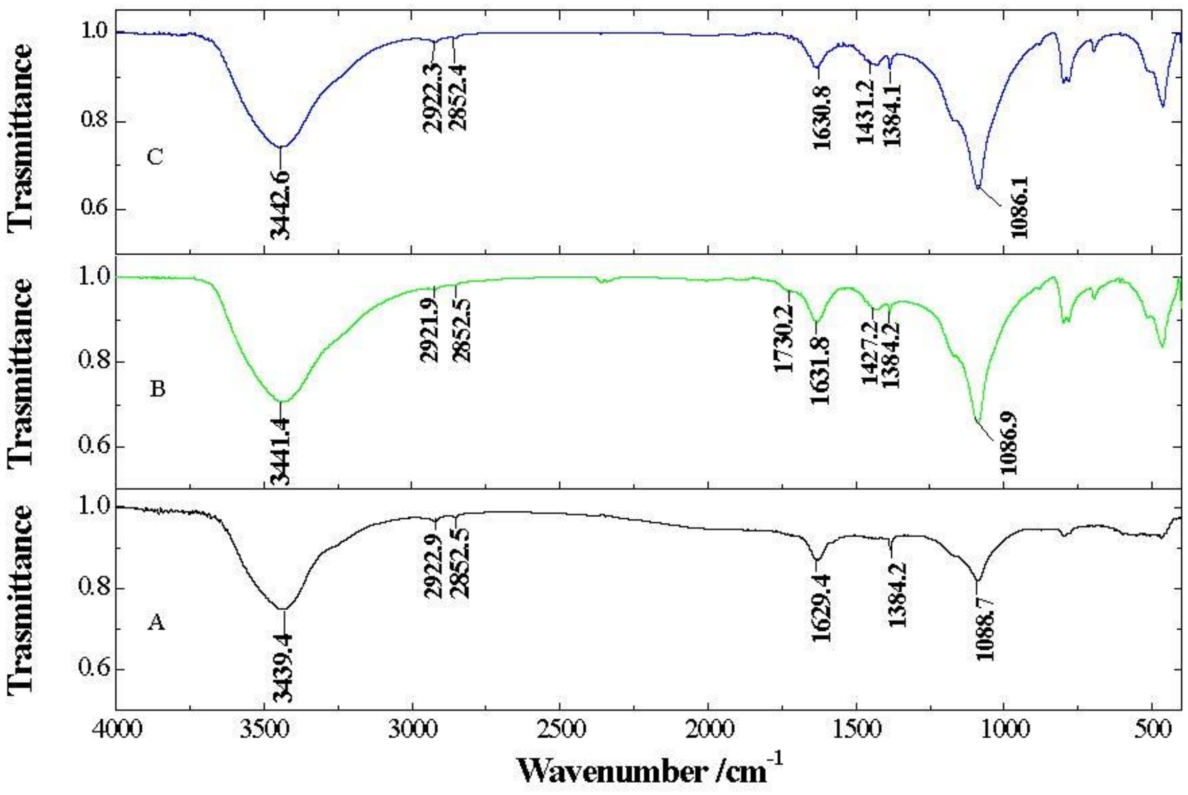 Nanomaterials 09 00252 g003 550