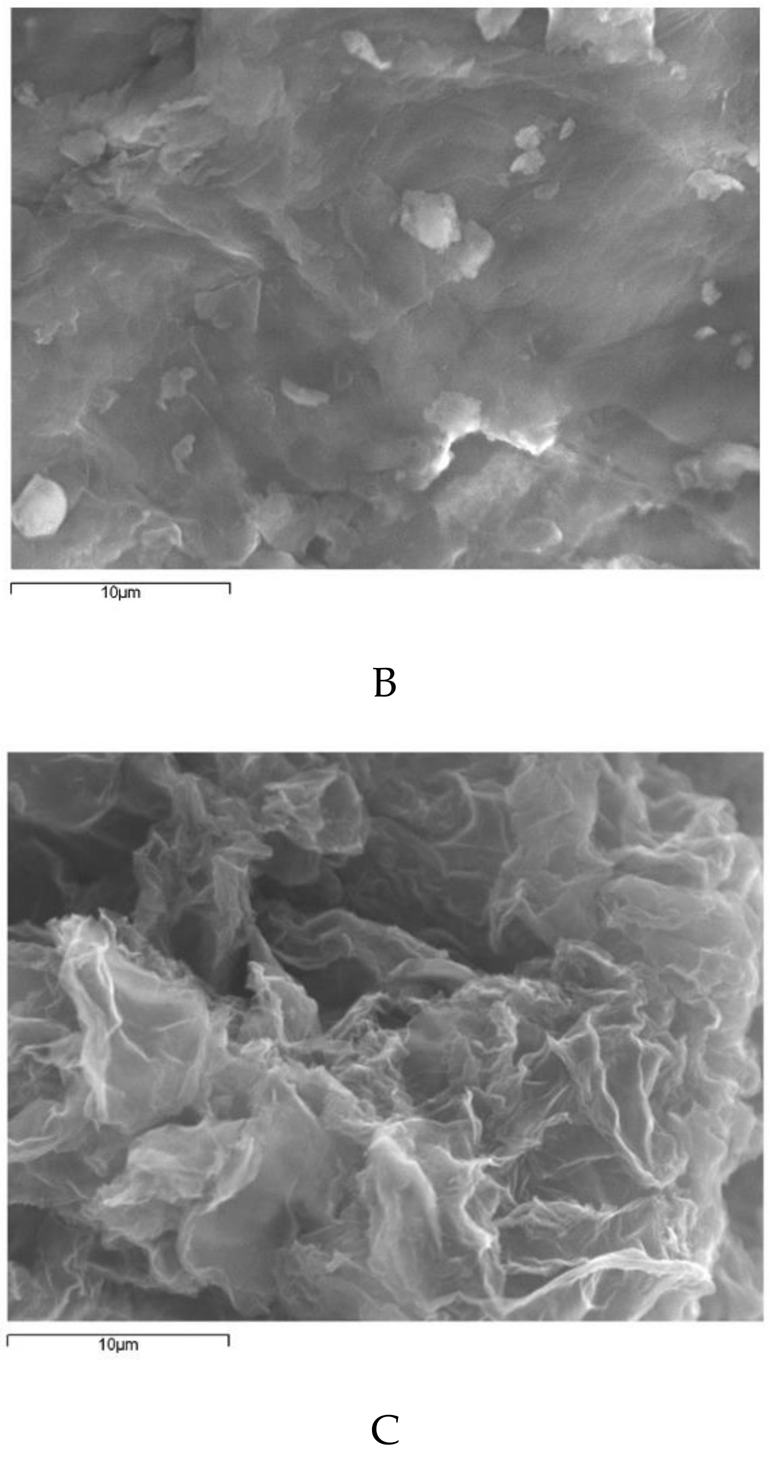 Nanomaterials 09 00252 g004b 550
