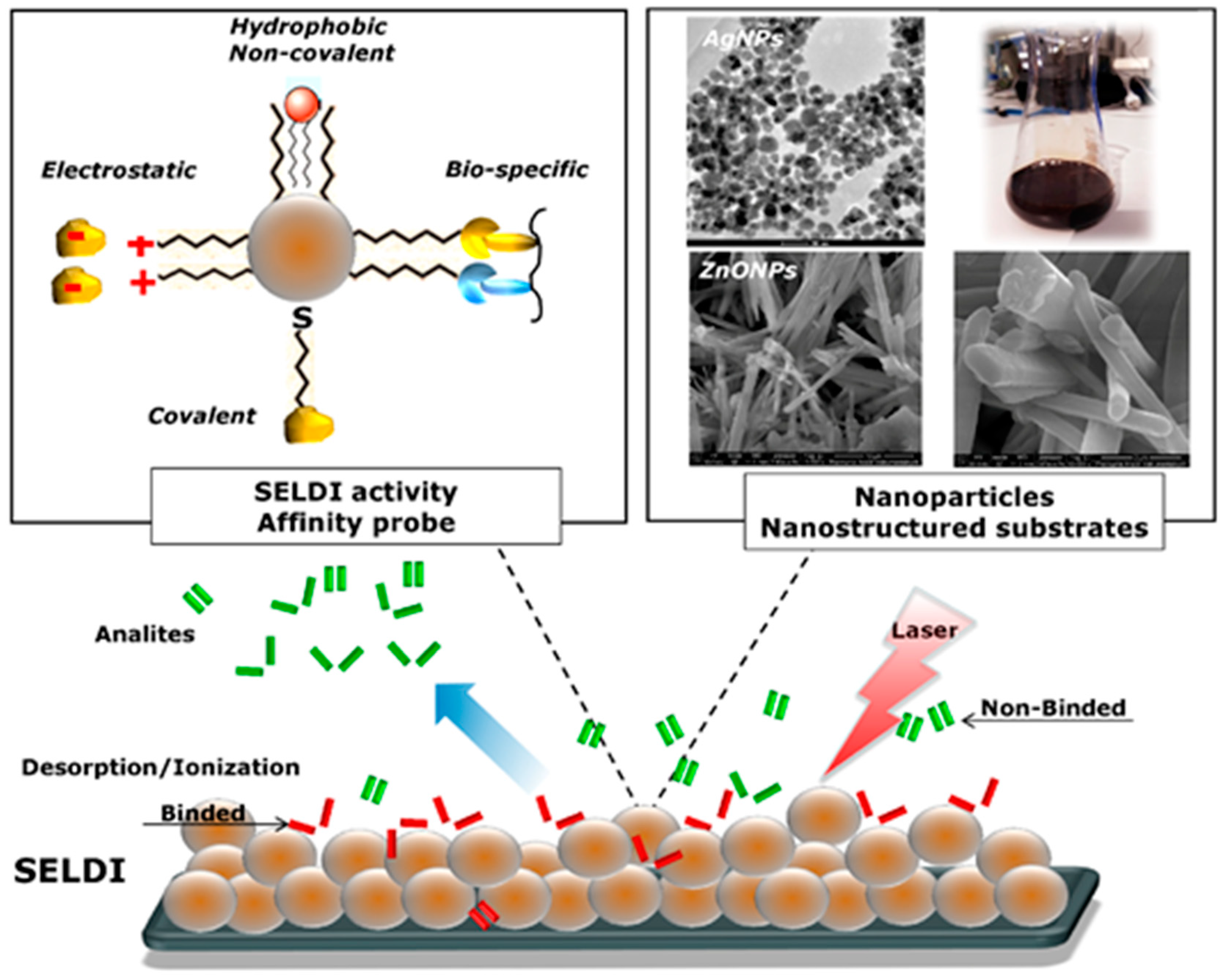 Nanomaterials 09 00260 g003