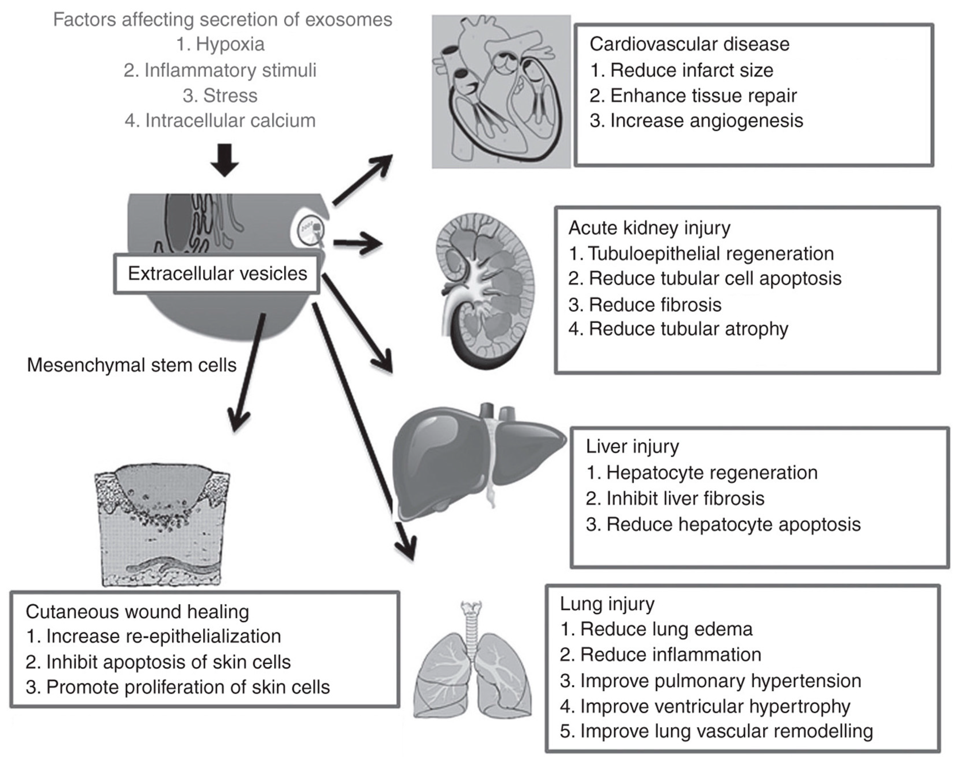 Nanomaterials 09 00261 g002