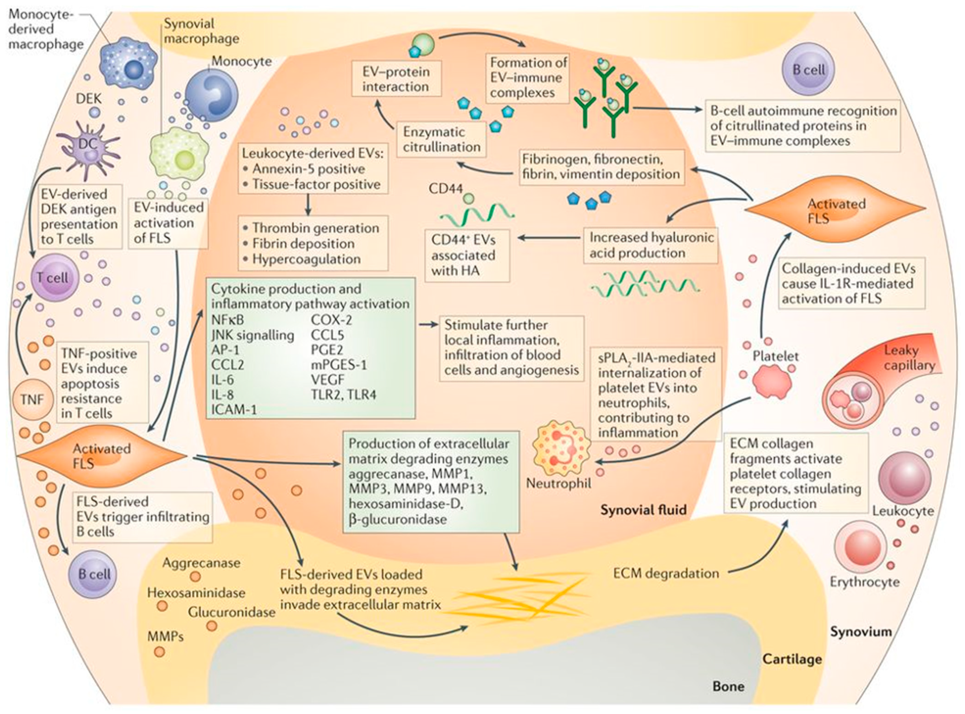 Nanomaterials 09 00261 g003