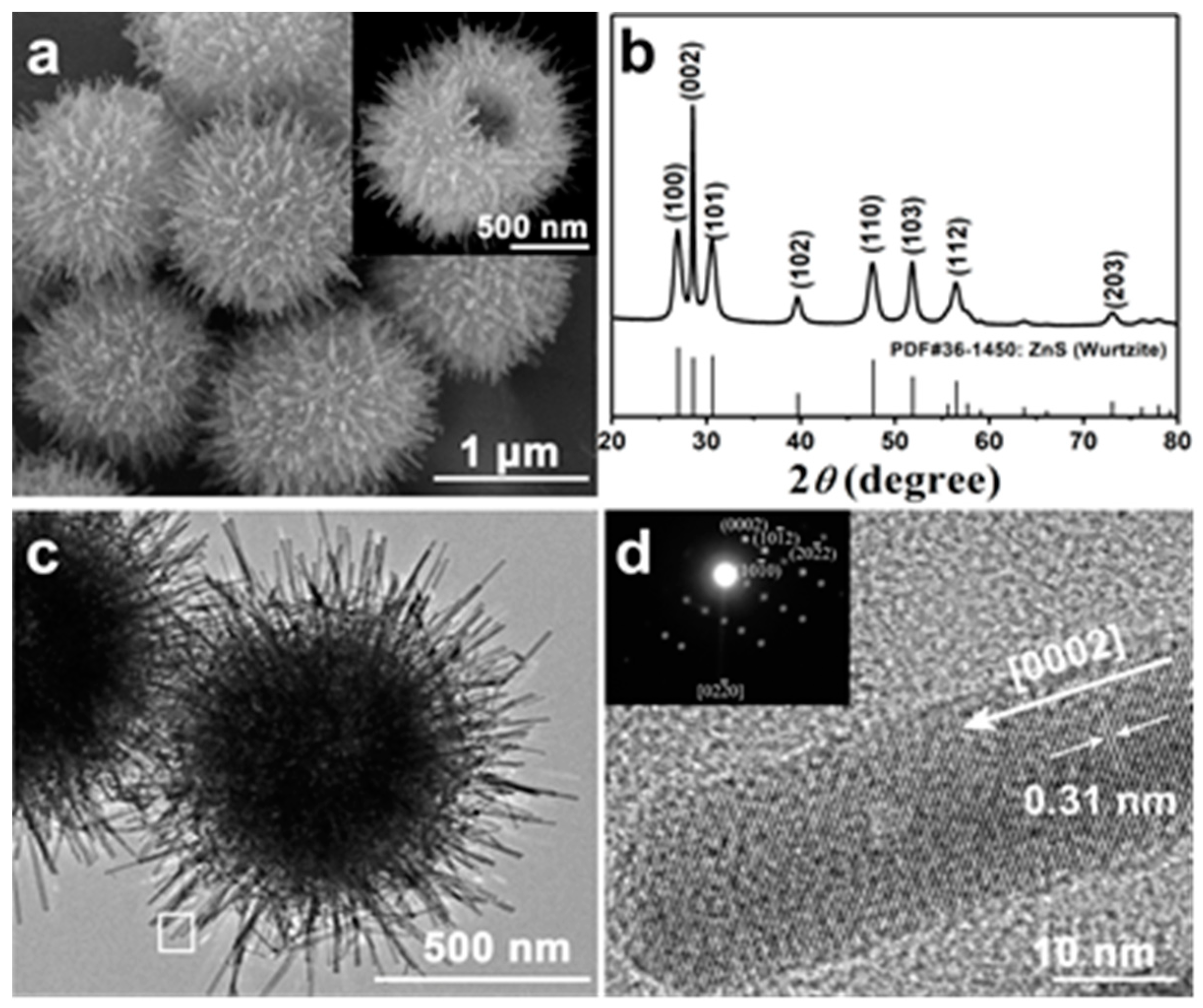 Nanomaterials 09 00273 g001 550