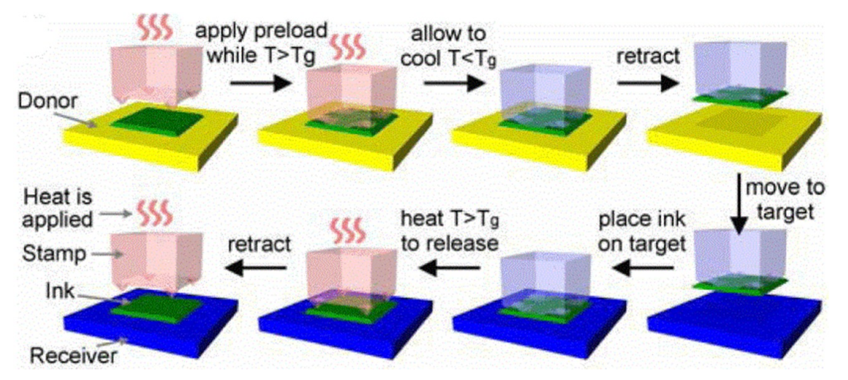 Nanomaterials 09 00283 g010