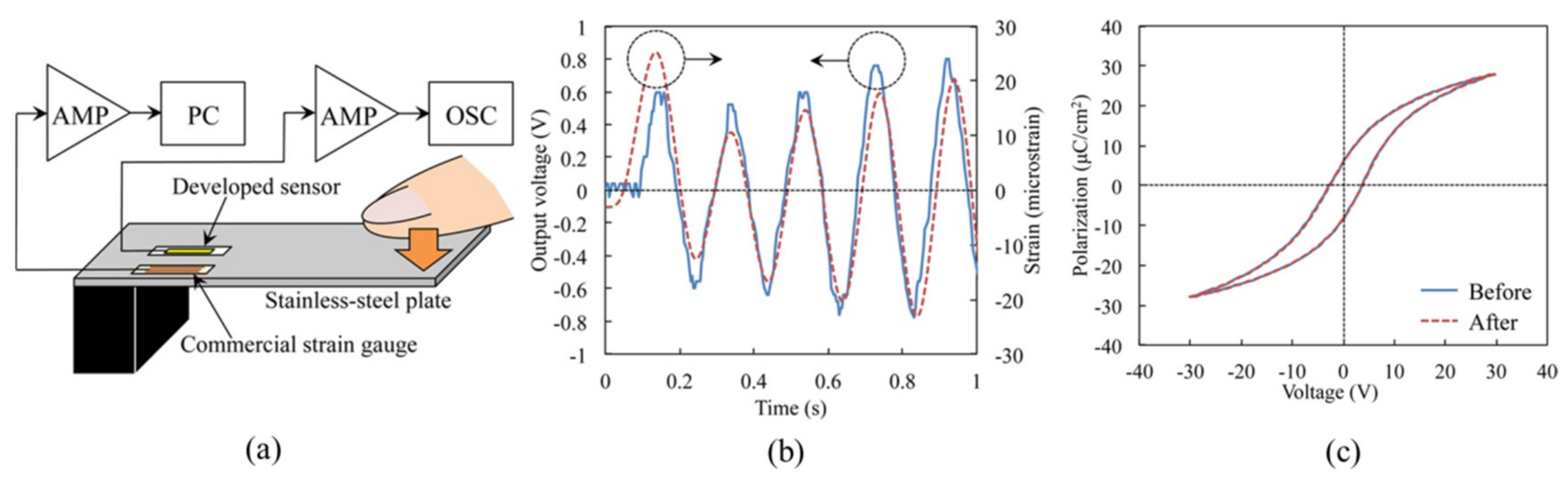 Nanomaterials 09 00283 g016