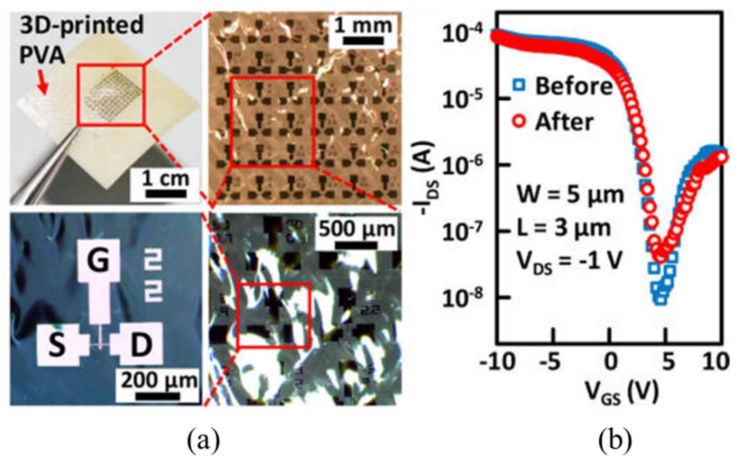 Nanomaterials 09 00283 g018