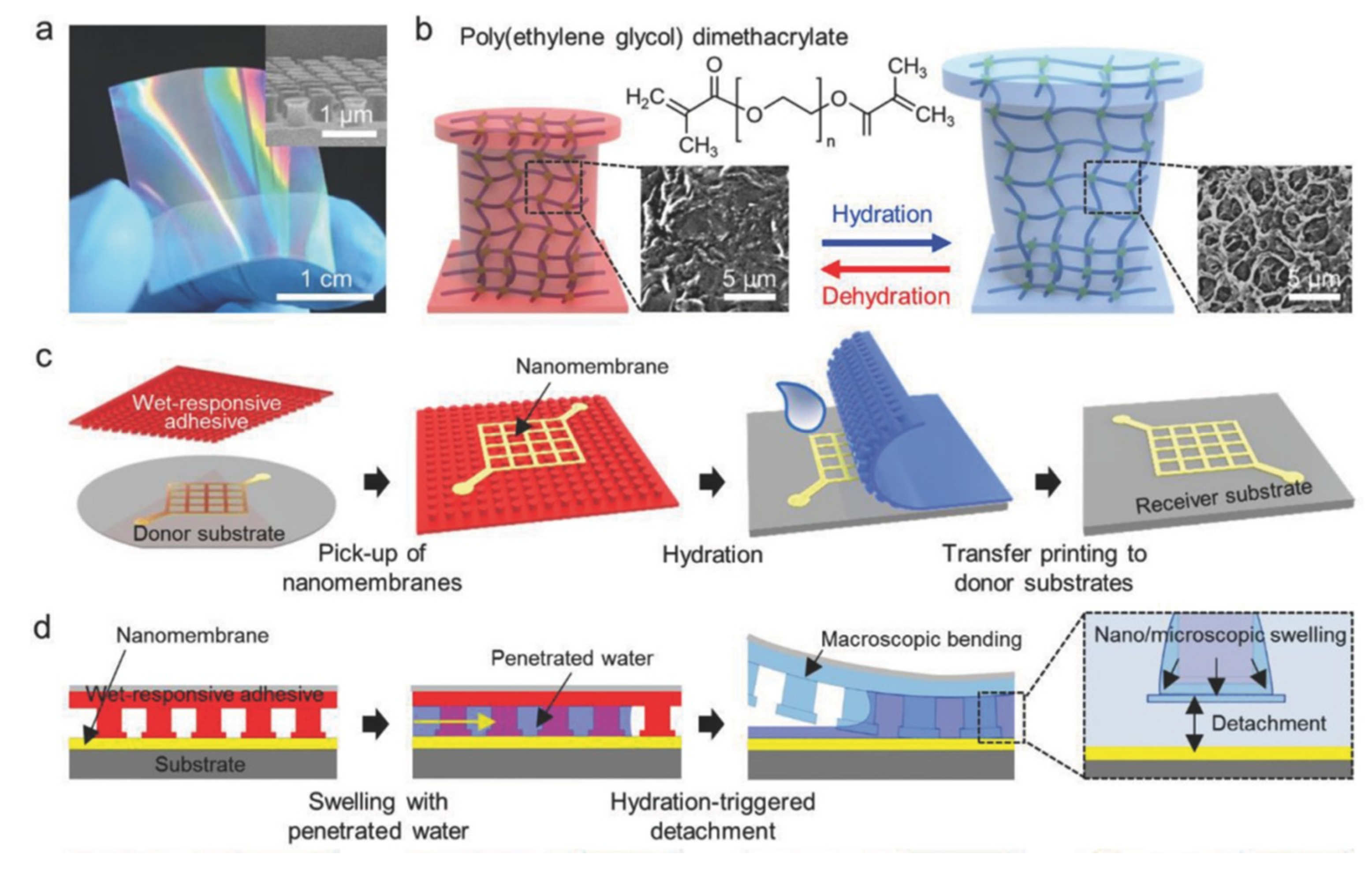 Nanomaterials 09 00283 g024