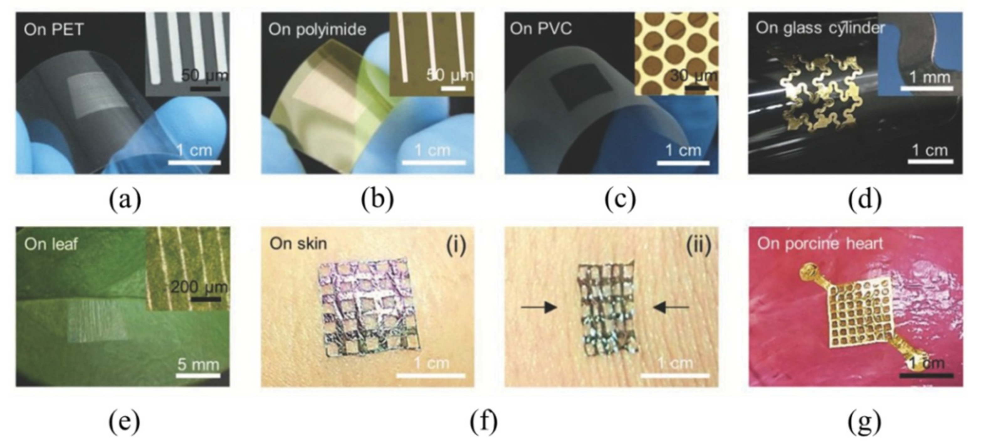 Nanomaterials 09 00283 g025
